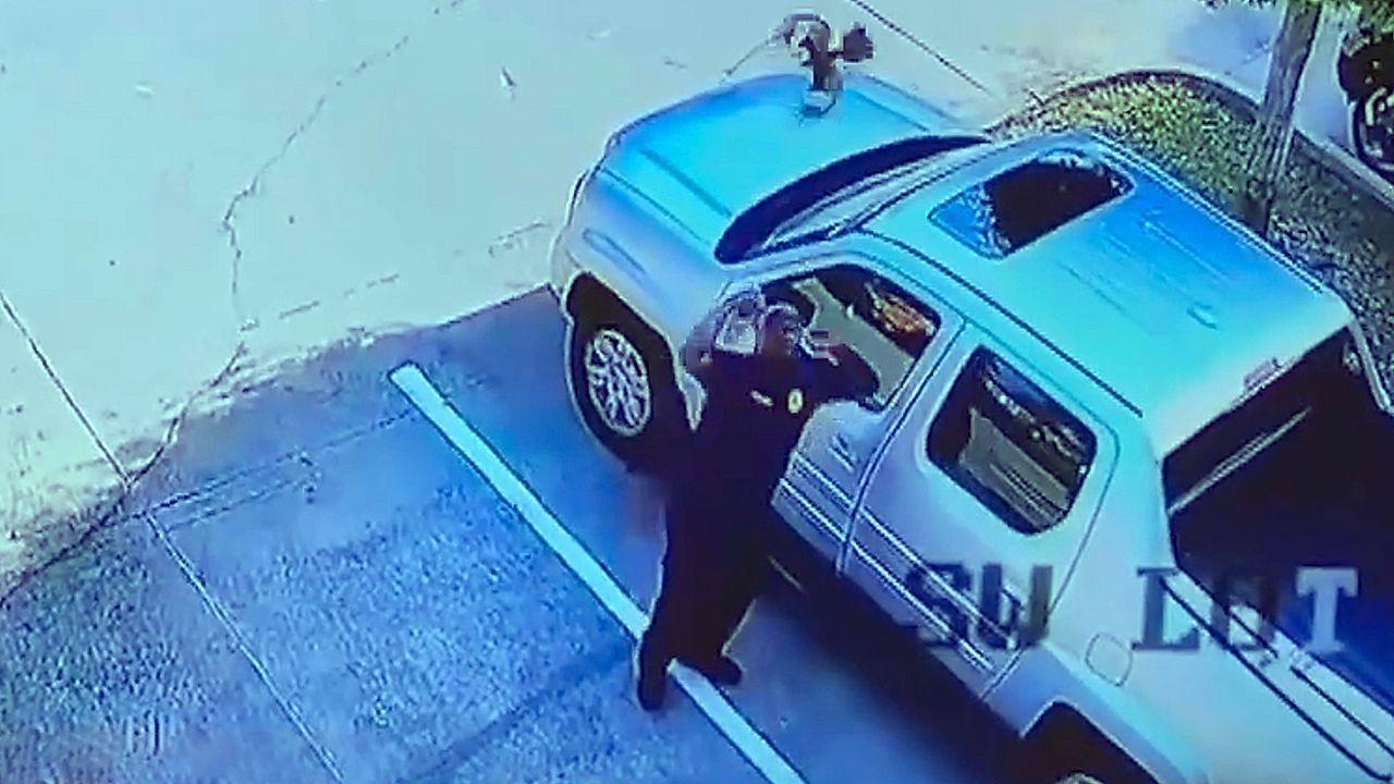 Video: Gefiederter Wiederholungstäter: Vogel attackiert Polizisten vor Wache in Texas