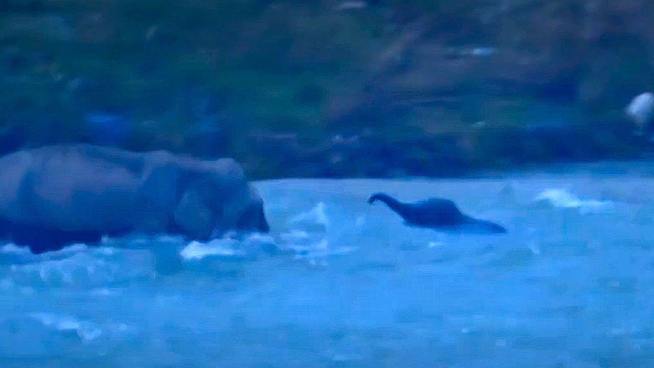 Video: Rüssel als Rettungsleine: Elefantenmutter zieht Baby aus reißendem Fluss in Indien