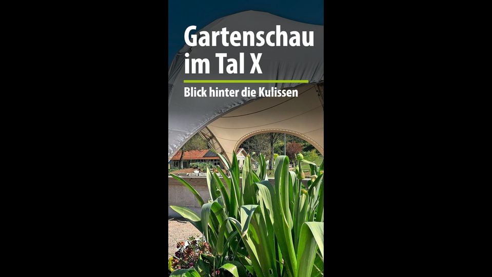 Gartenschau im Tal X – Blick hinter die Kulissen