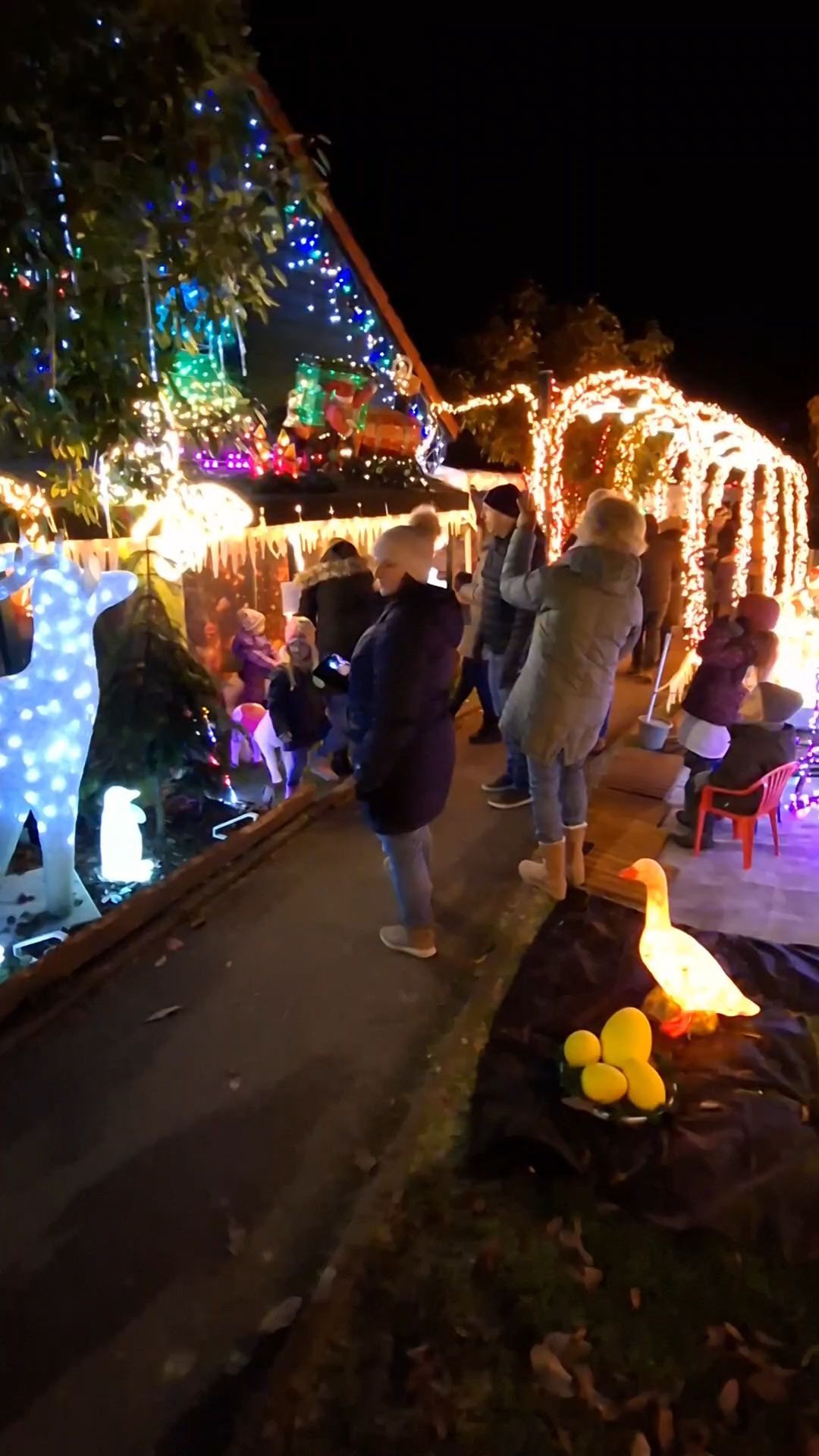 Christmas house in Ludwigsburg district lights up again