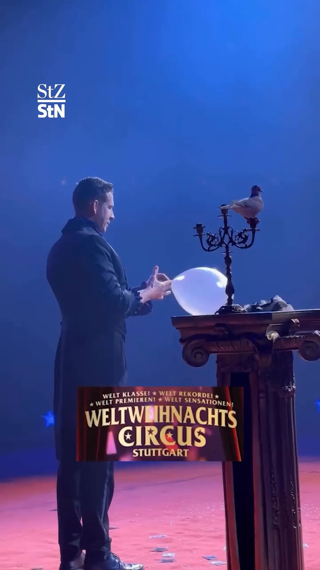 Tierquälerei? Video mit Taube im Stuttgarter Weltweihnachtszirkus empört das Netz