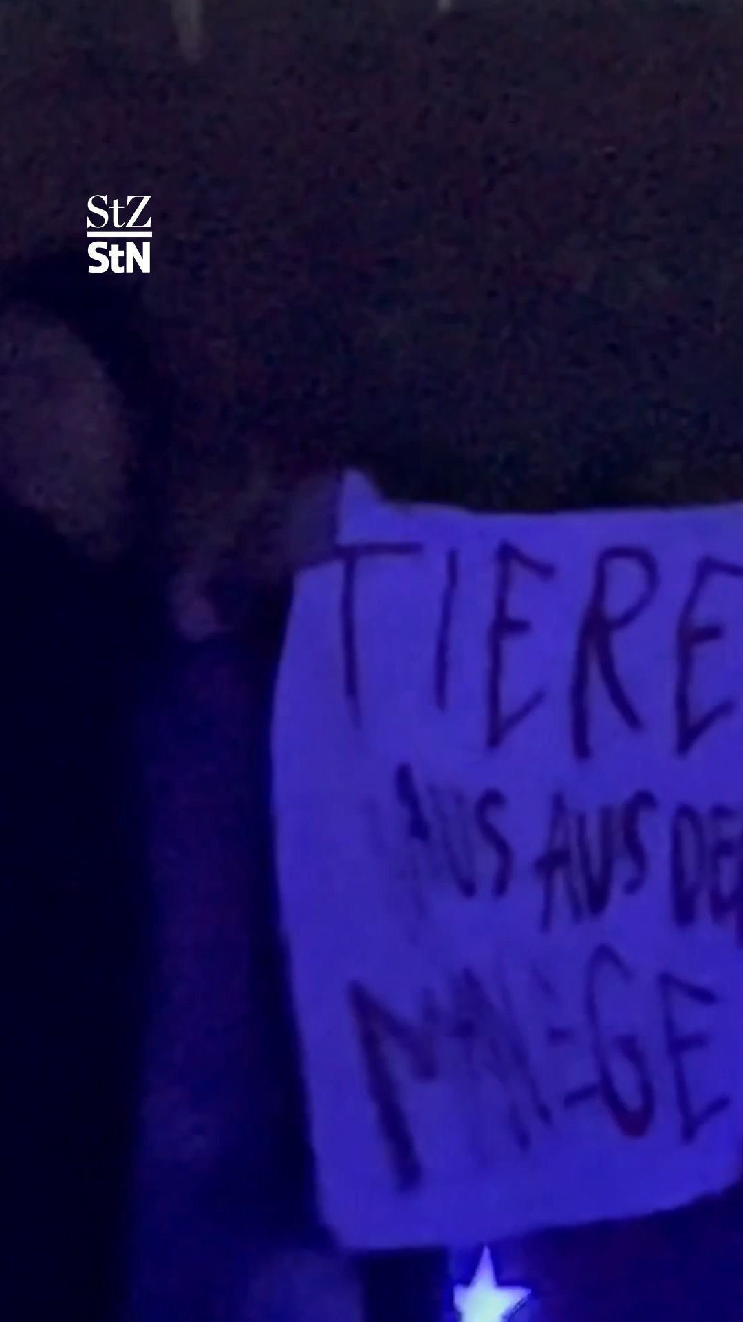 Video: Protest gegen Pferde-Show: Tierschützer stürmen Manege vom Weltweihnachtscircus in Stuttgart