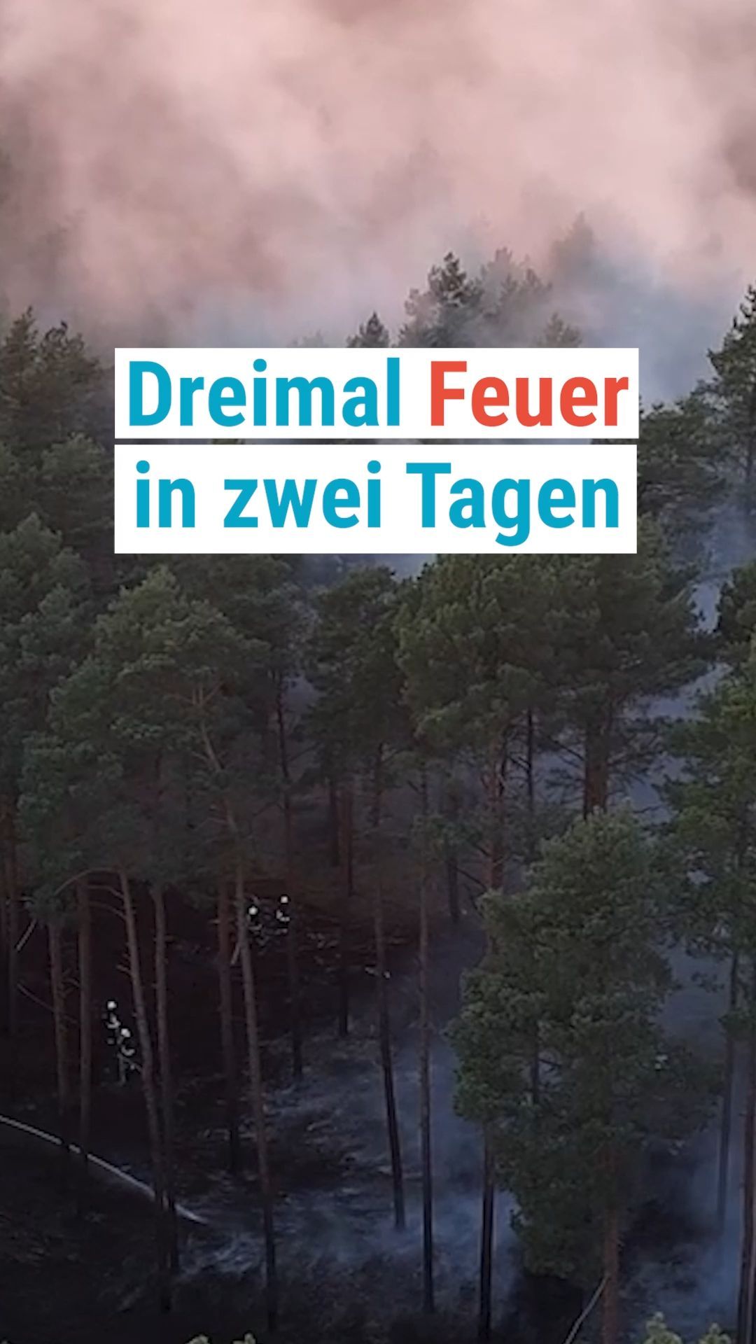 Video: Waldbrand-Serie Im Landkreis Elbe-Elster.