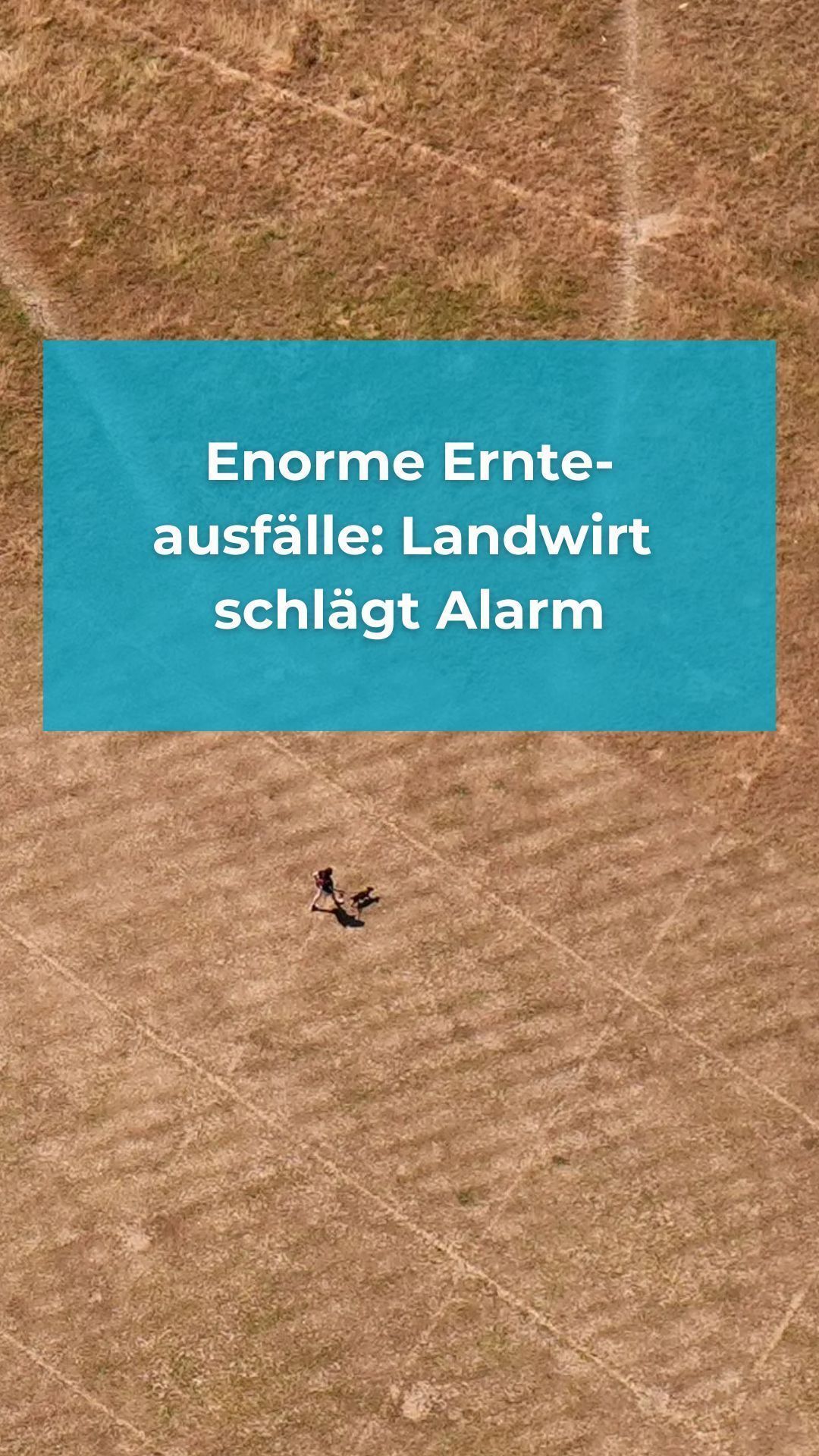 Video: Enorme Ernteausfälle: Landwirt schlägt Alarm
