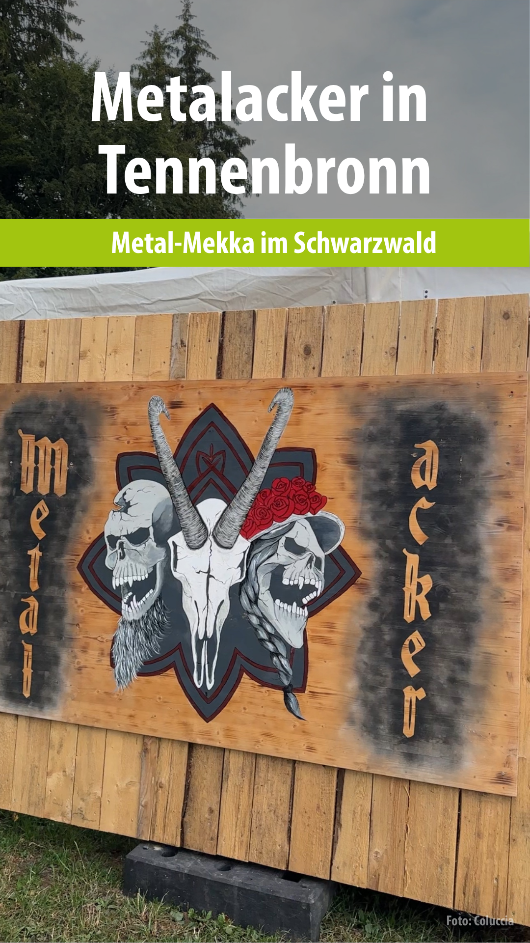 Video: Metalacker in Tennenbronn