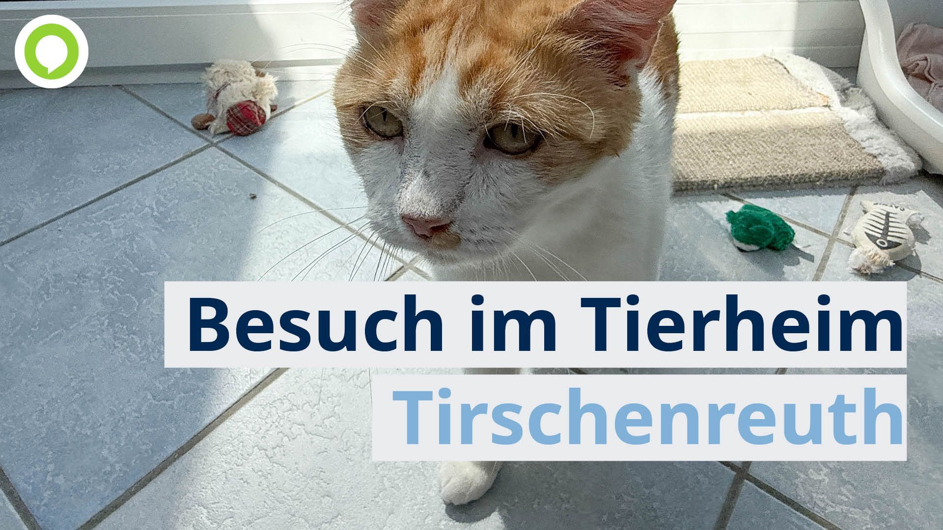 Video: So kümmert sich das Tierheim Tirschenreuth um Problemfälle