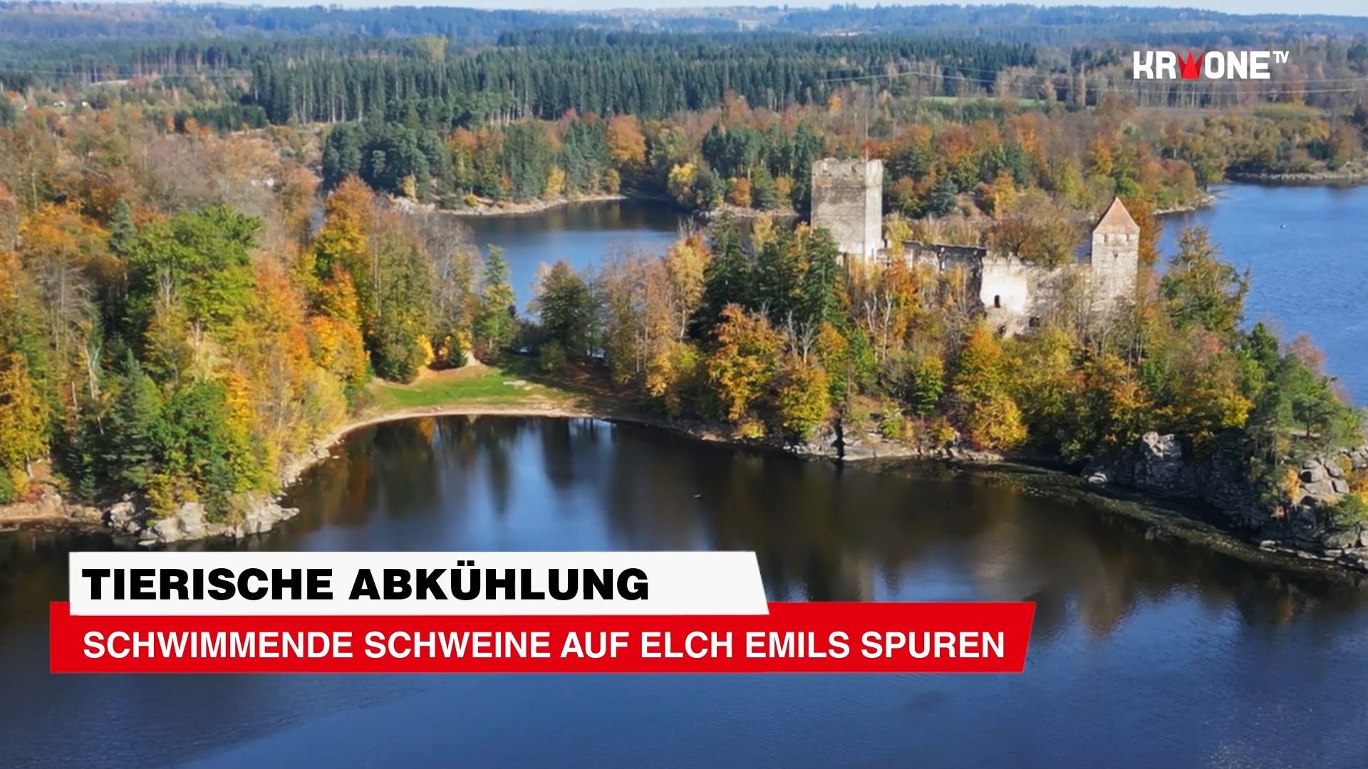 Video: Schwimmende Schweine auf Elch Emils Spuren