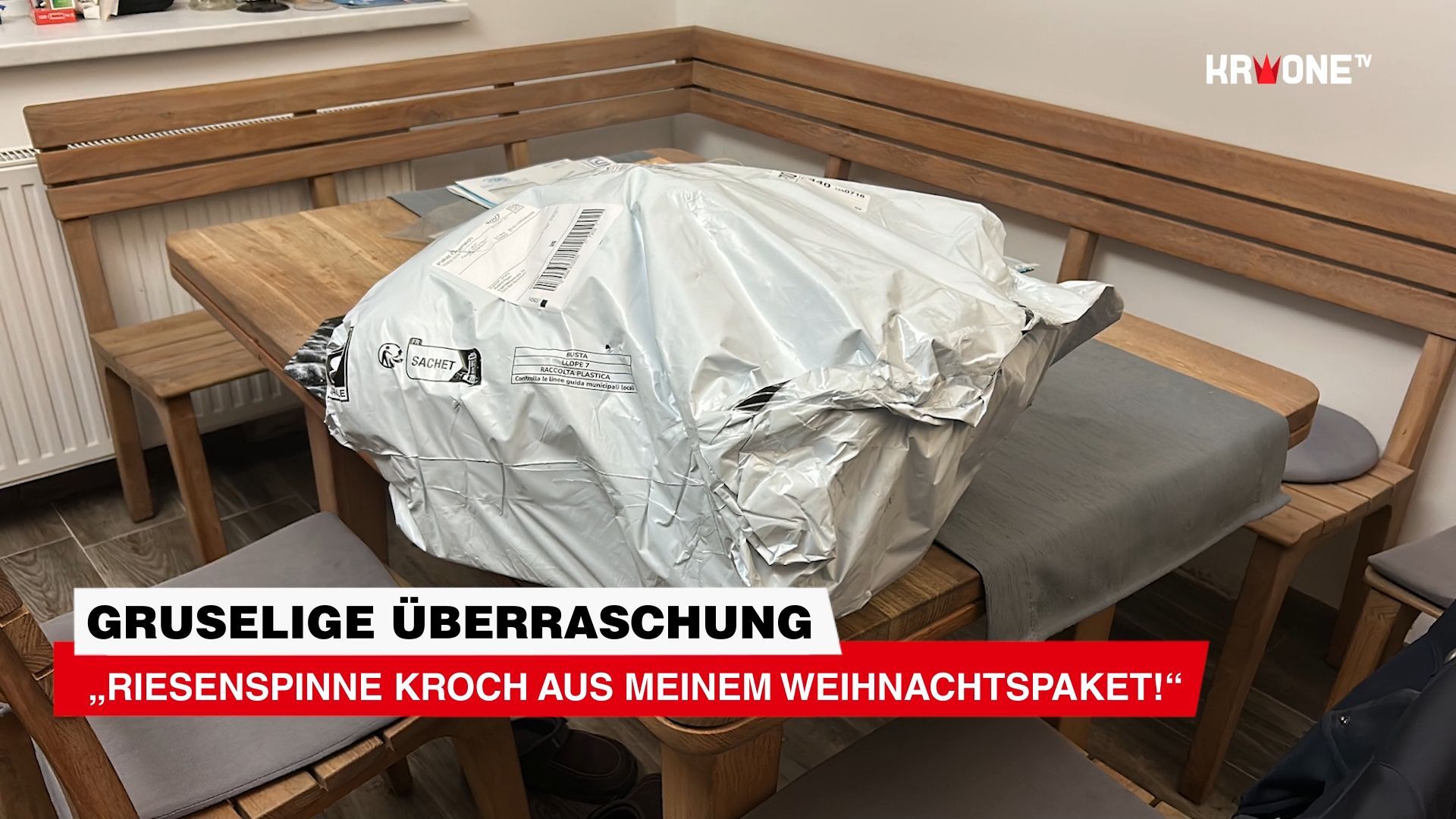 Video: Gruselige Überraschung „Riesenspinne kroch aus meinem Weihnachtspaket!“