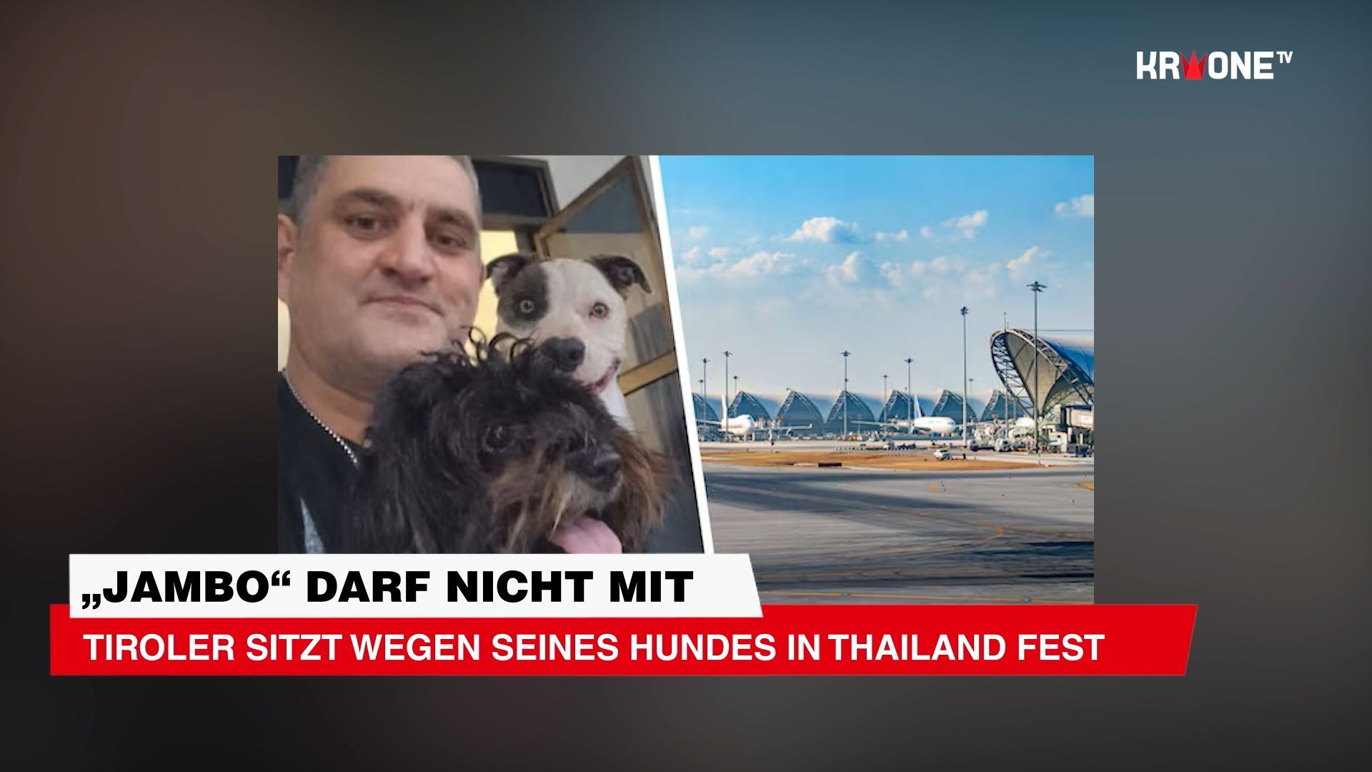 Video: „Jambo“ darf nicht mit Tiroler sitzt wegen seines Hundes in Thailand fest