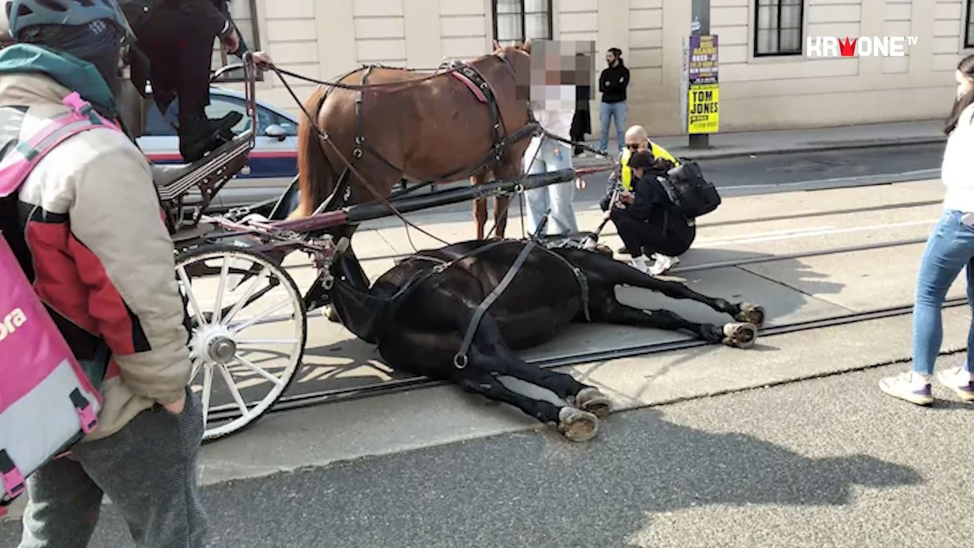 Video: Pferd zusammen gebrochen: Passanten filmen Drama um Wiener Fiakerpferd
