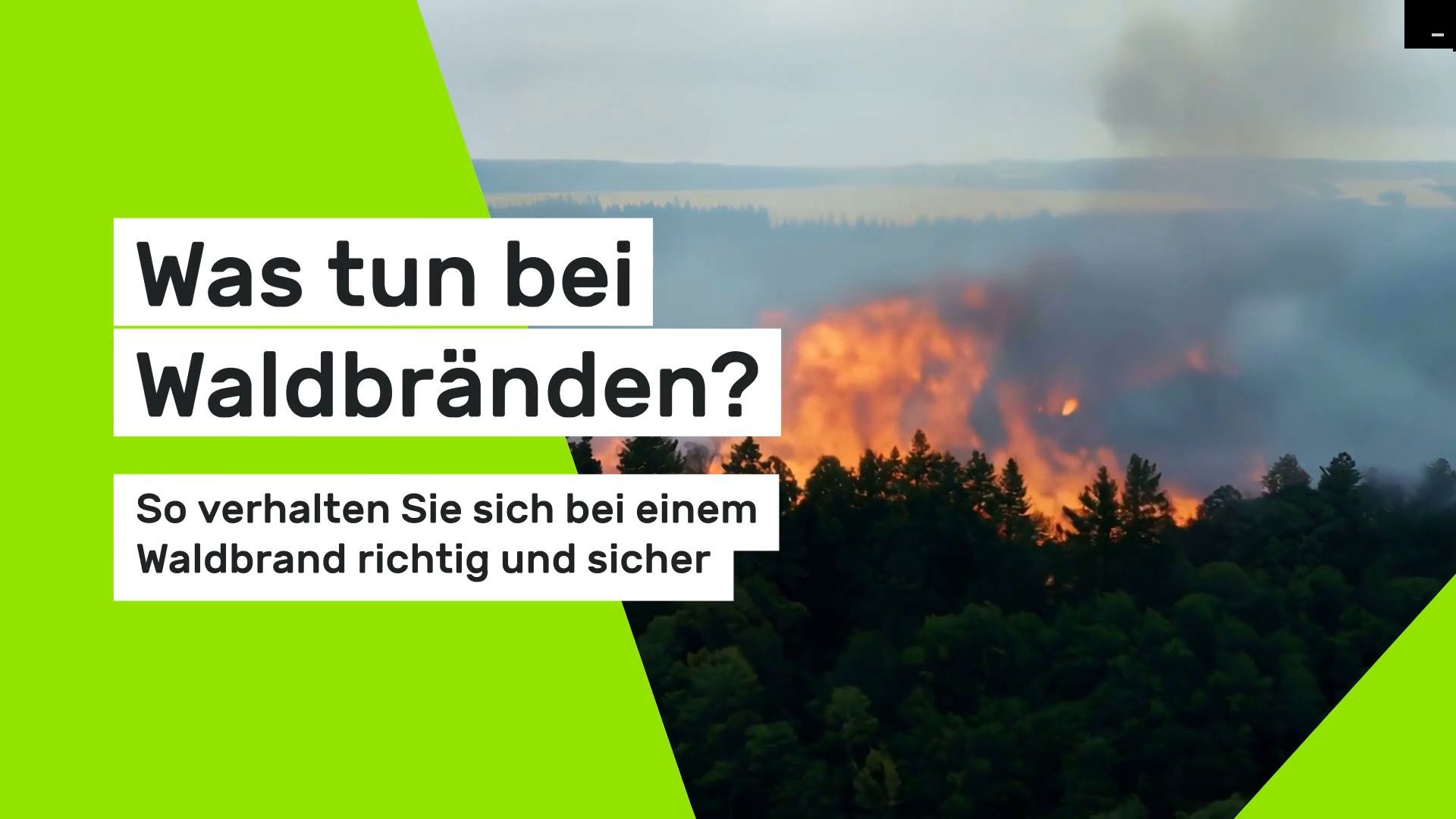 What to do in case of forest fires? How to behave correctly and safely during a forest fire