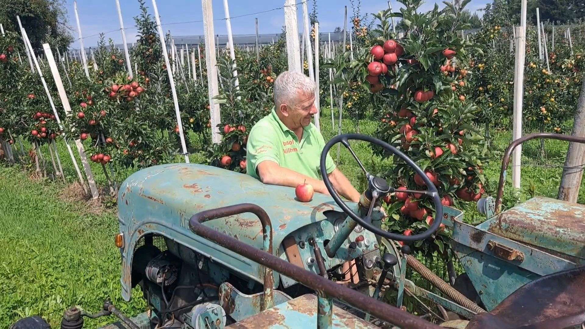Apple Harvest at Lake Constance