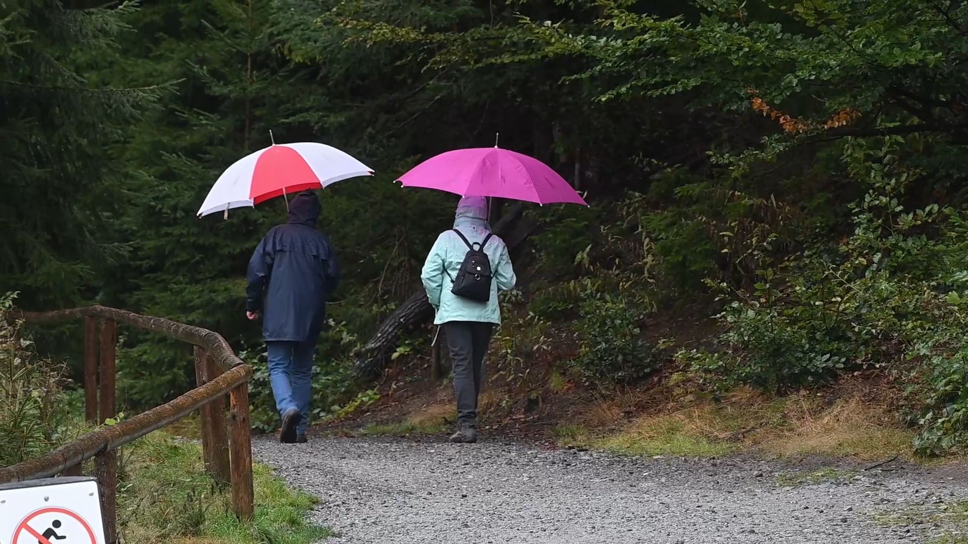 Wetterwechsel: Ab Sonntag ein erster Hauch von Winter