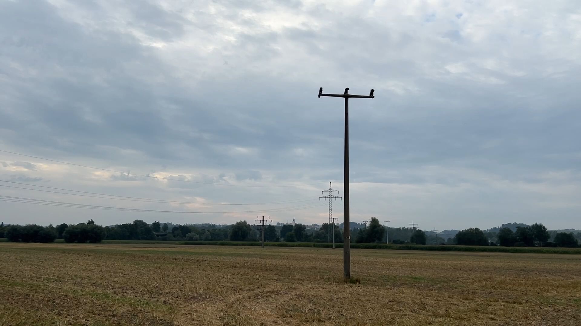 In Landau verschwinden 44 Strommasten
