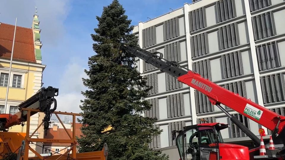 Video: Ingolstadt: Der Christbaum steht