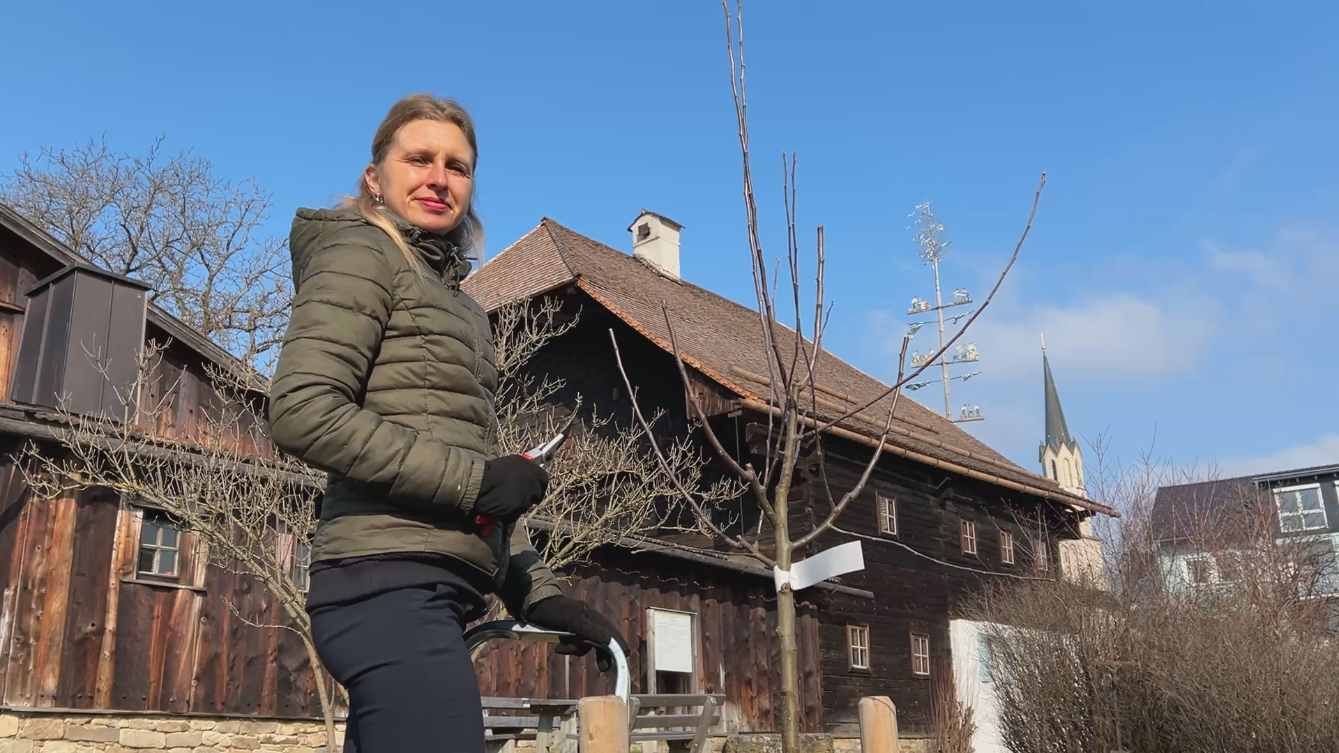 Video: So gelingt der Obstbaumschnitt