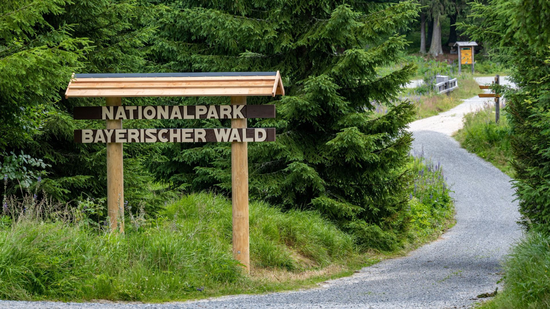 Video: Verhaltenstipps und Regeln in Nationalpark Bayerischer Wald