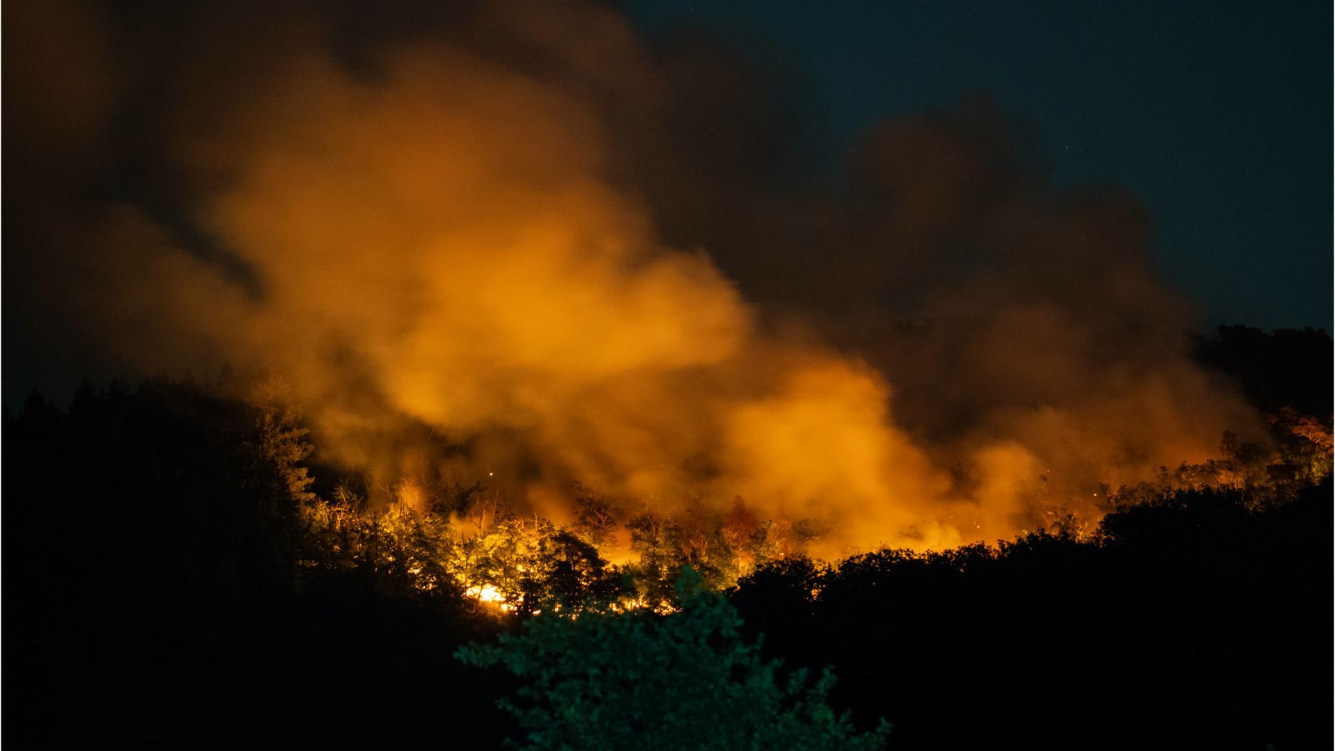 Video: Brandgefahr im Sommer: Was im Wald verboten ist