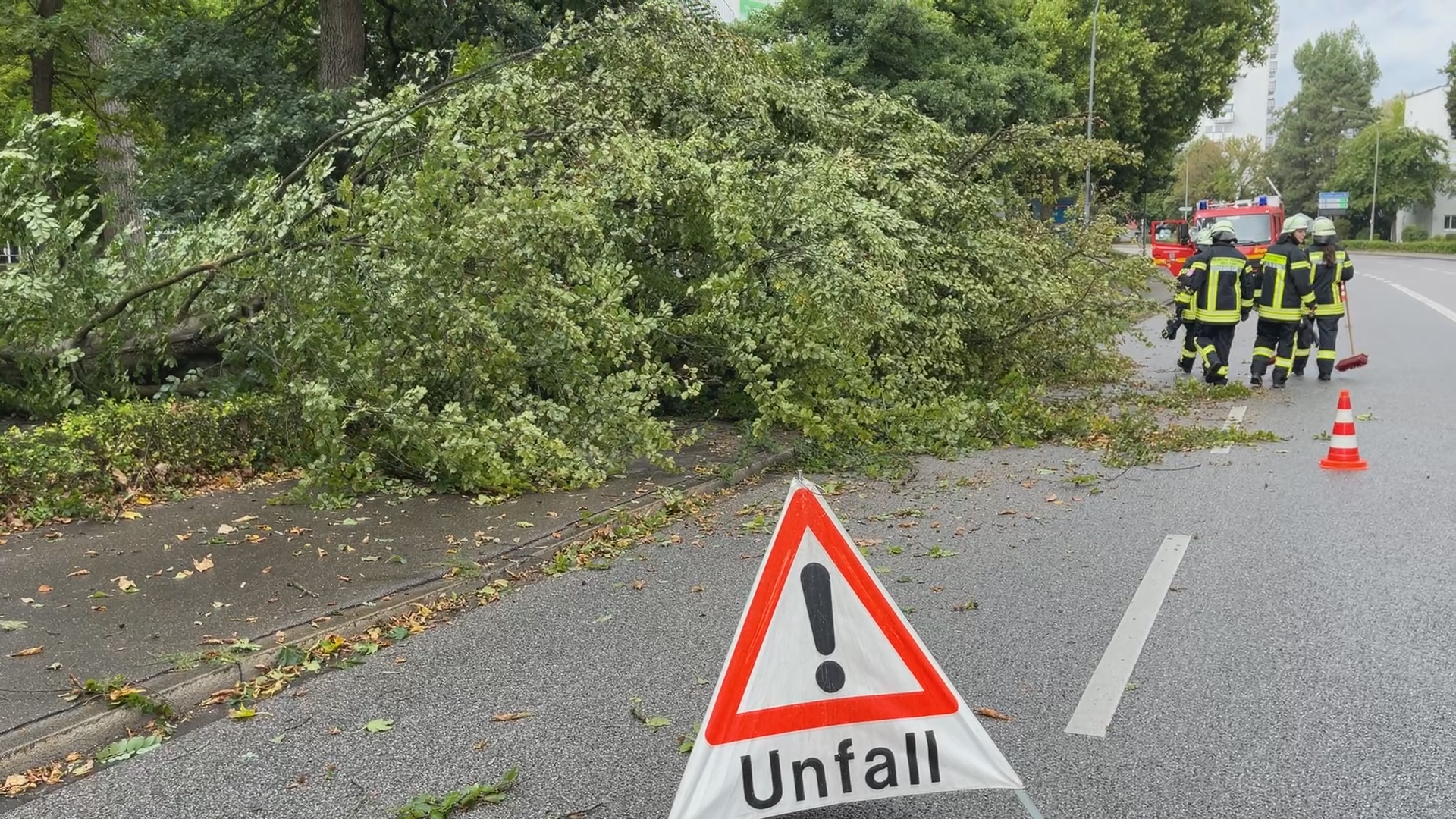 Video: Baum stürzt am Brückenkopf auf die Straße