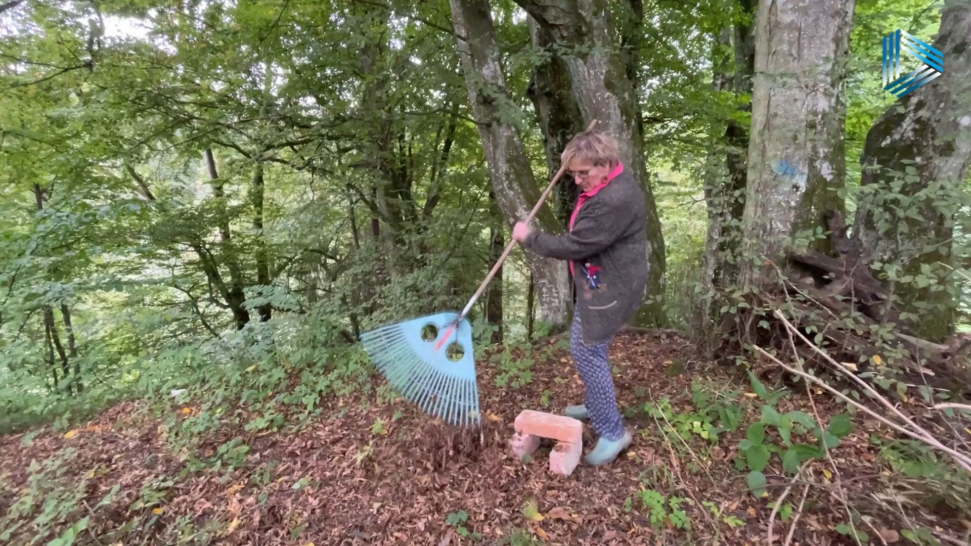 Video: Winterquartier für Igel – ganz einfach gebaut