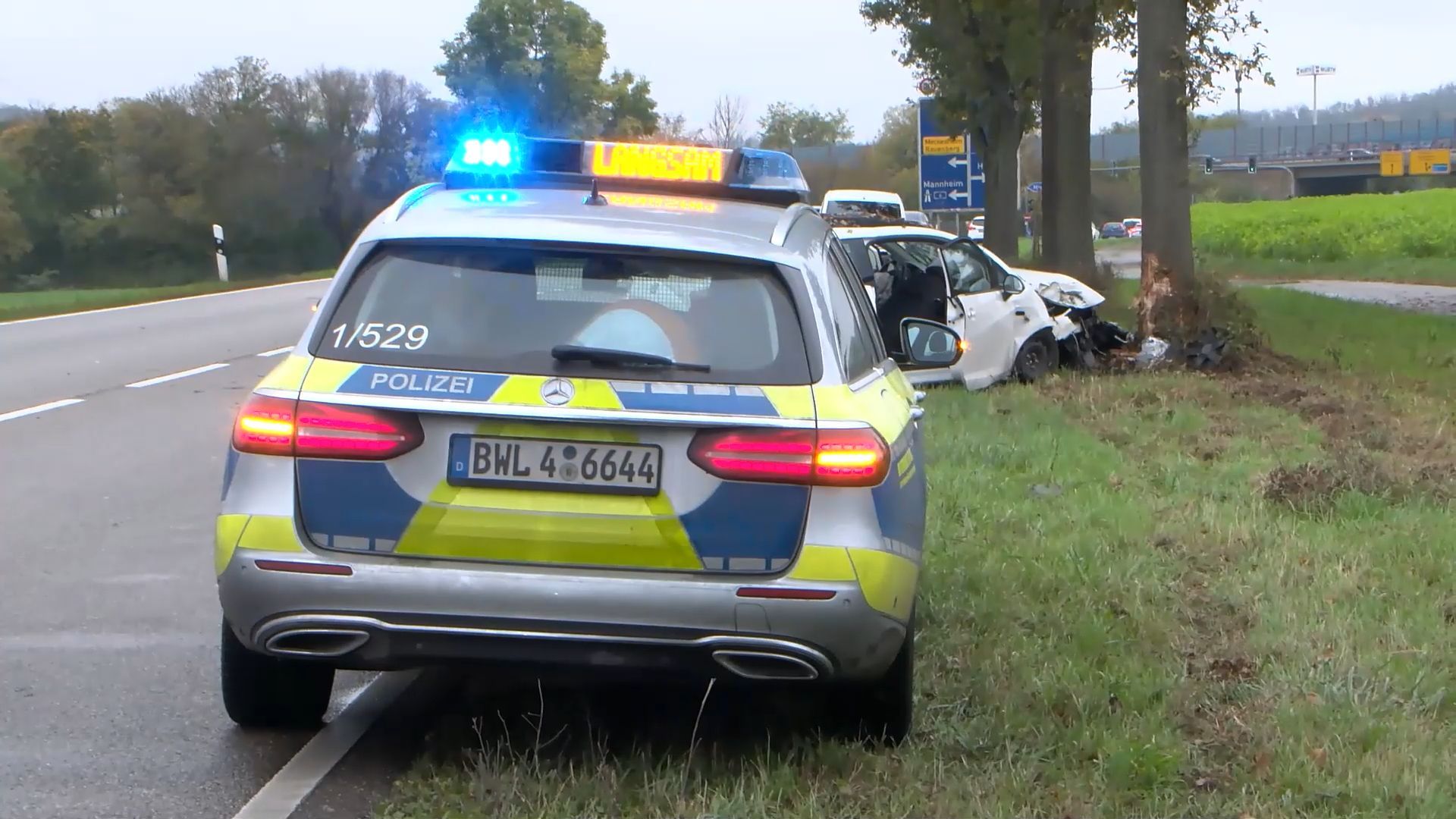 19-Jähriger bei Unfall auf der L 723 bei Wiesloch verletzt: Auto prallt gegen Baum