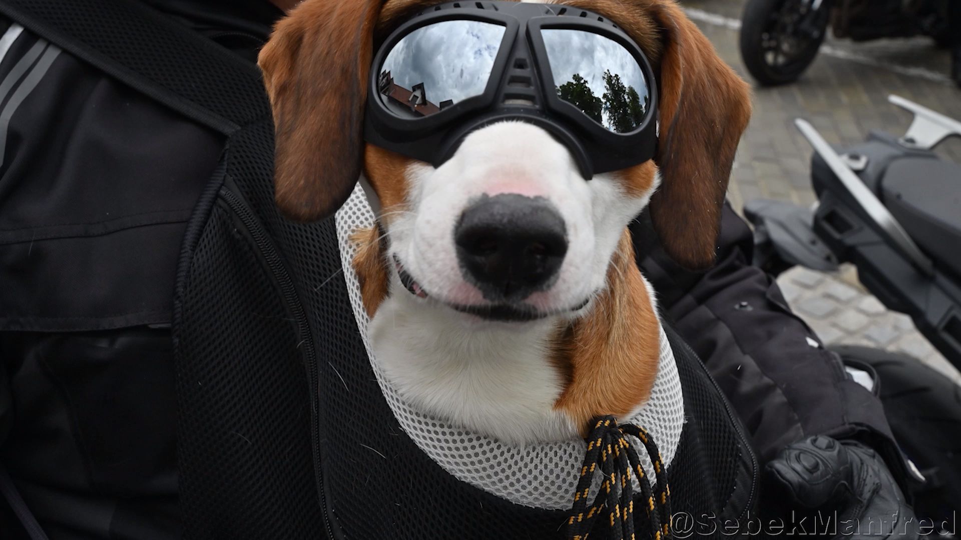 Video: 6. Leopldsdorfer Bikerfest zu Gunsten der Schmetterlingskinder