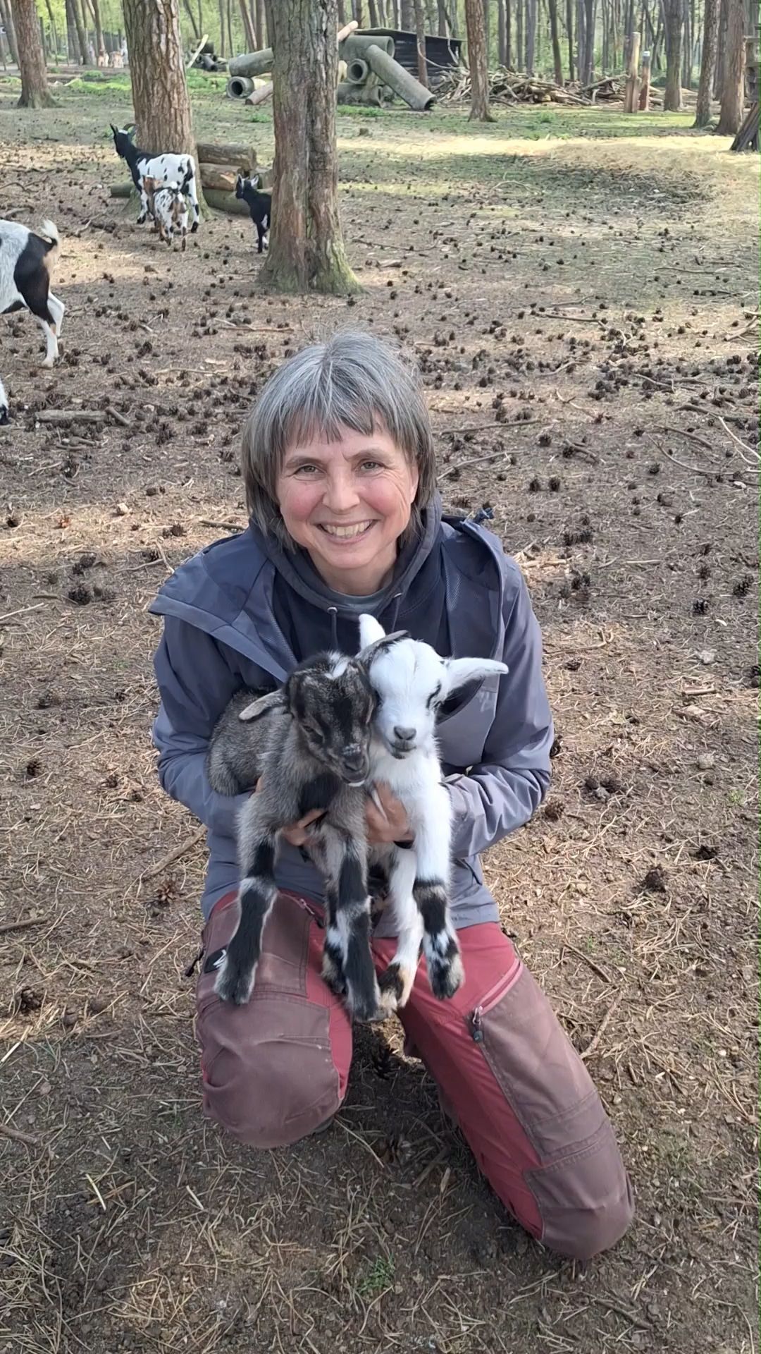 Video: Impressionen aus dem Wildfreigehege Nöttler Berg