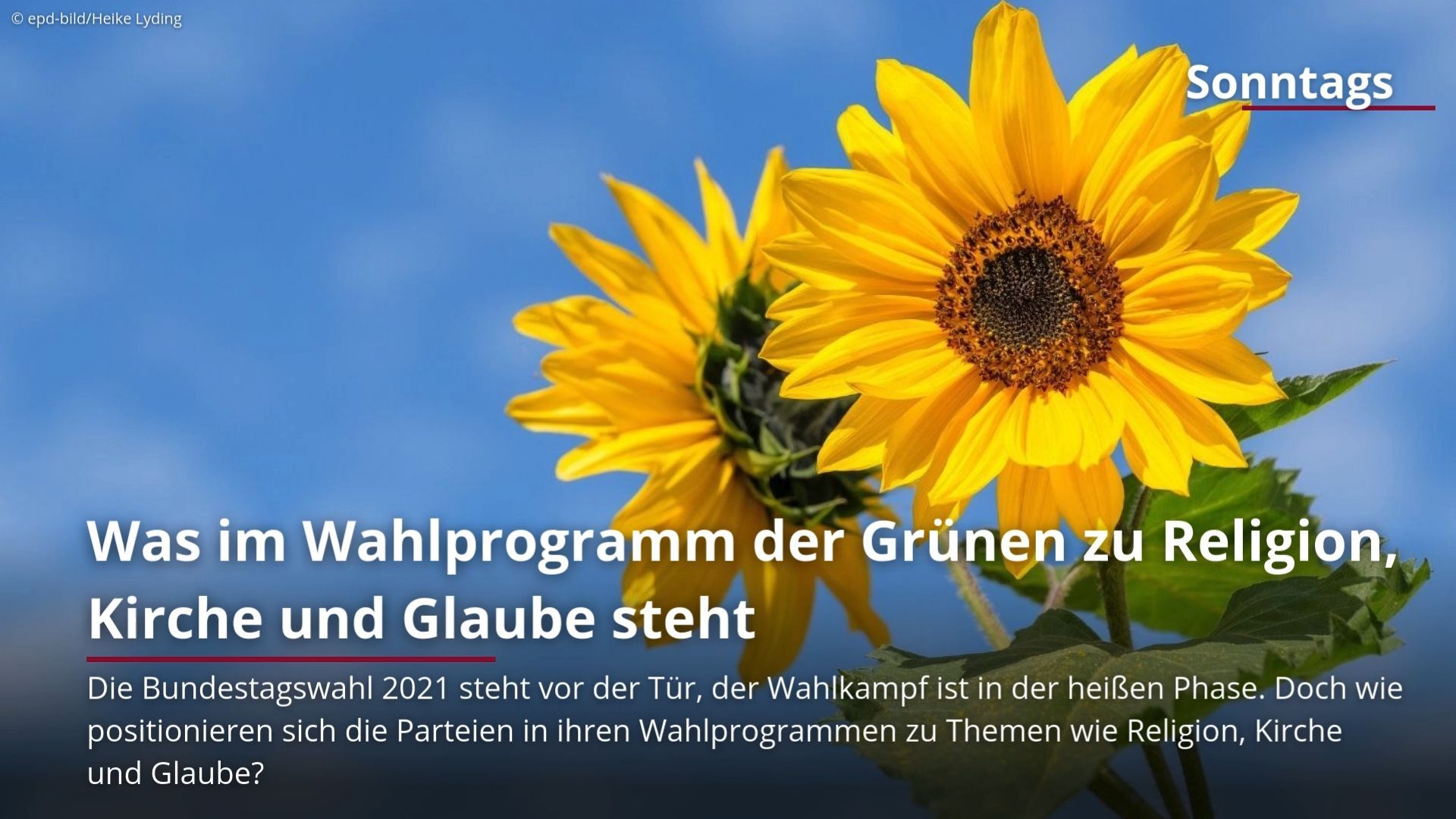 Was Die Grünen in ihrem Wahlprogramm zu Religion, Glaube und Kirche sagen