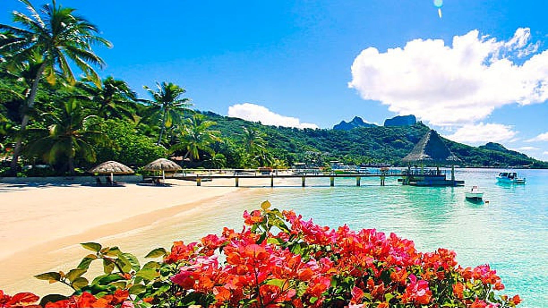The 5 most beautiful beaches in France to discover this summer