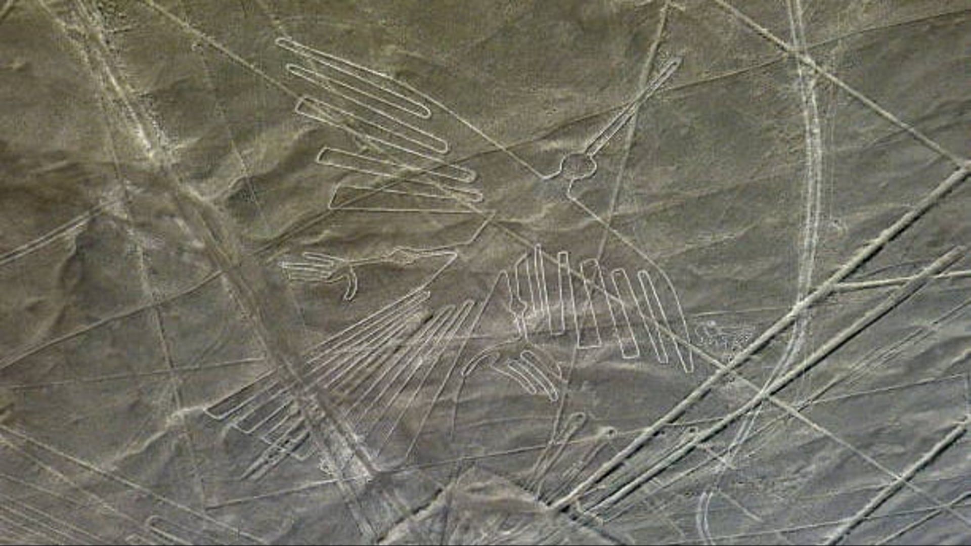 Yamagata-Universität gibt Entdeckung von 248 neuen „Nazca-Landmalereien“ bekannt