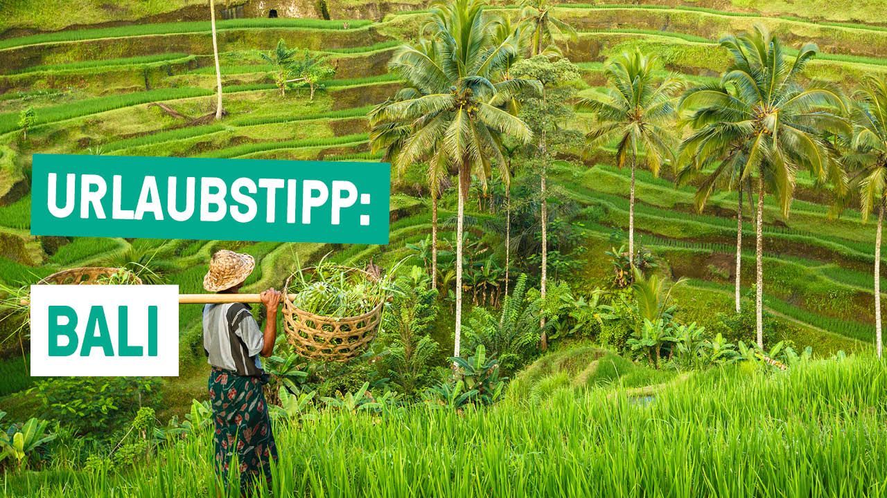 Zu recht so beliebt! - Urlaubstipp: BALI