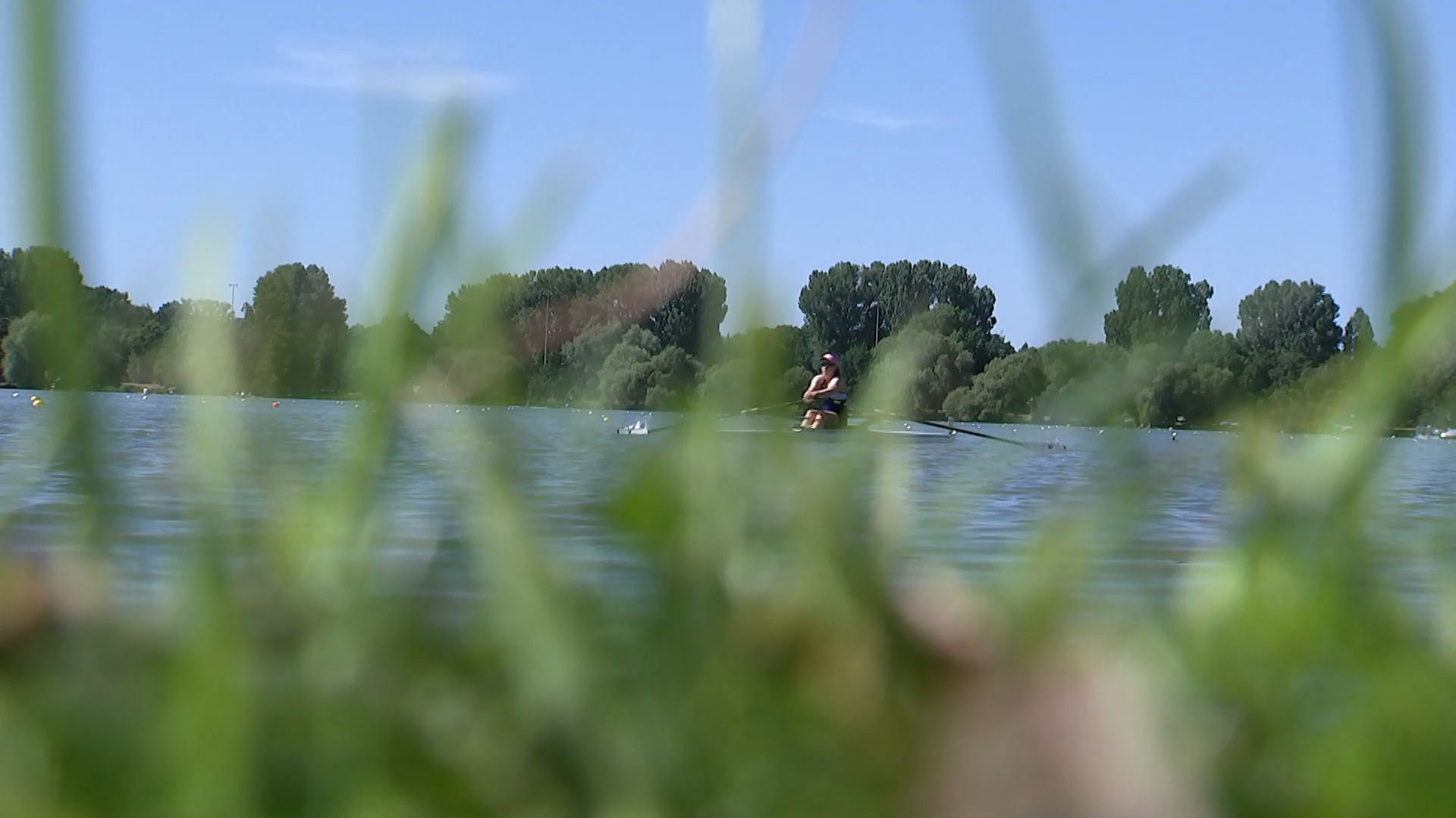 Dangerous blue-green algae in the Little Dutzendteich: Contact leads to health impairments