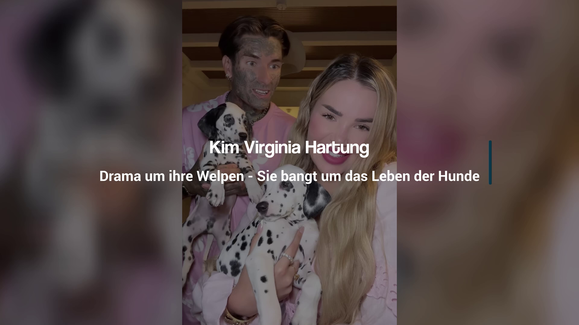 Kim Virginia Hartung: Drama about her puppies - She fears for the dogs' lives