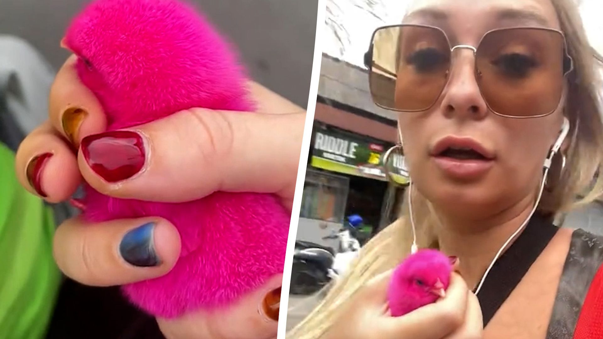 Video: Frau rettet PINKES Küken von belebter Straße