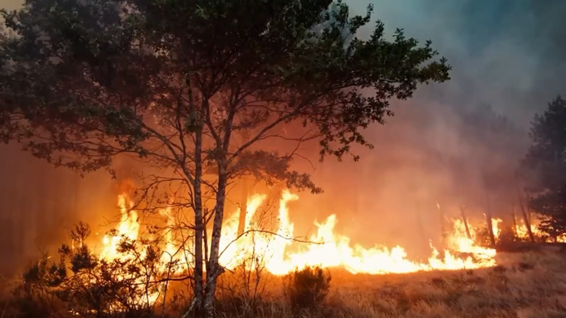 Video: Verheerender Waldbrand vernichtet 420 km² Wald im Südwesten Frankreichs