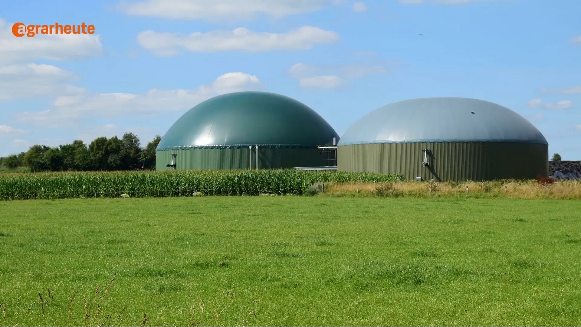 Mini-Biogasanlage für den Garten – ist das überhaupt sinnvoll?
