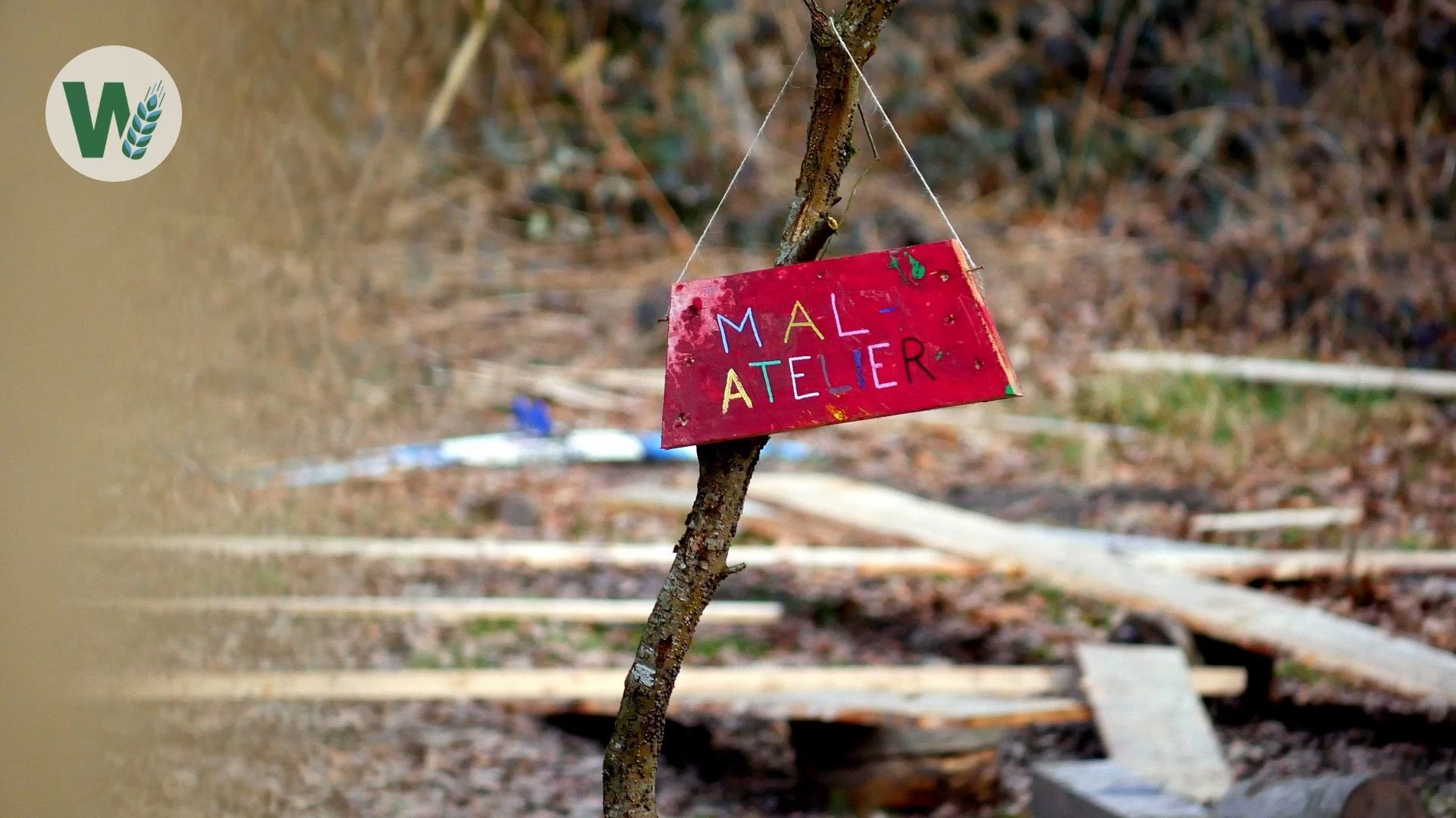 Natur pur: Ein Jahr Abenteuer im Waldkindergarten „Stock und Stein“