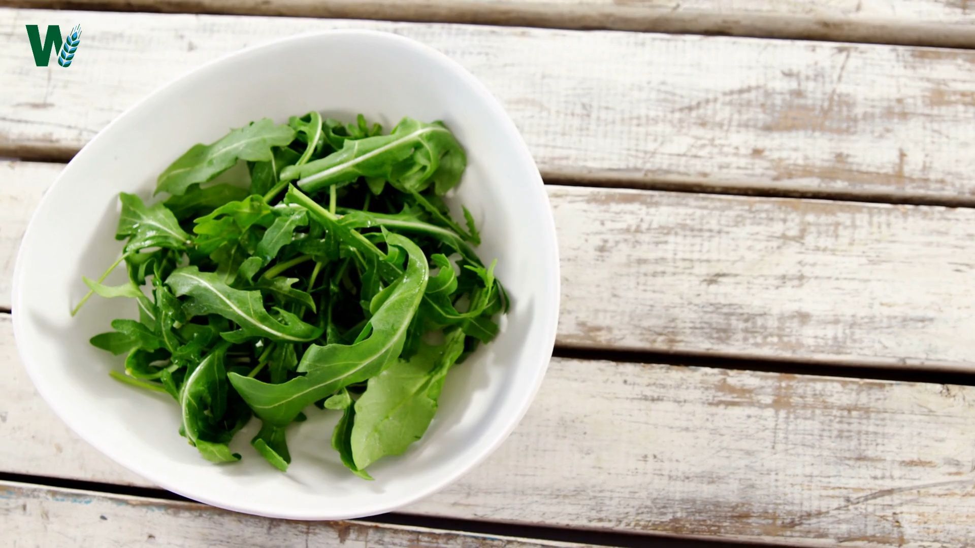 Kerbel, Caraway, Coriander, Arugula: Sow These Herbs in Autumn