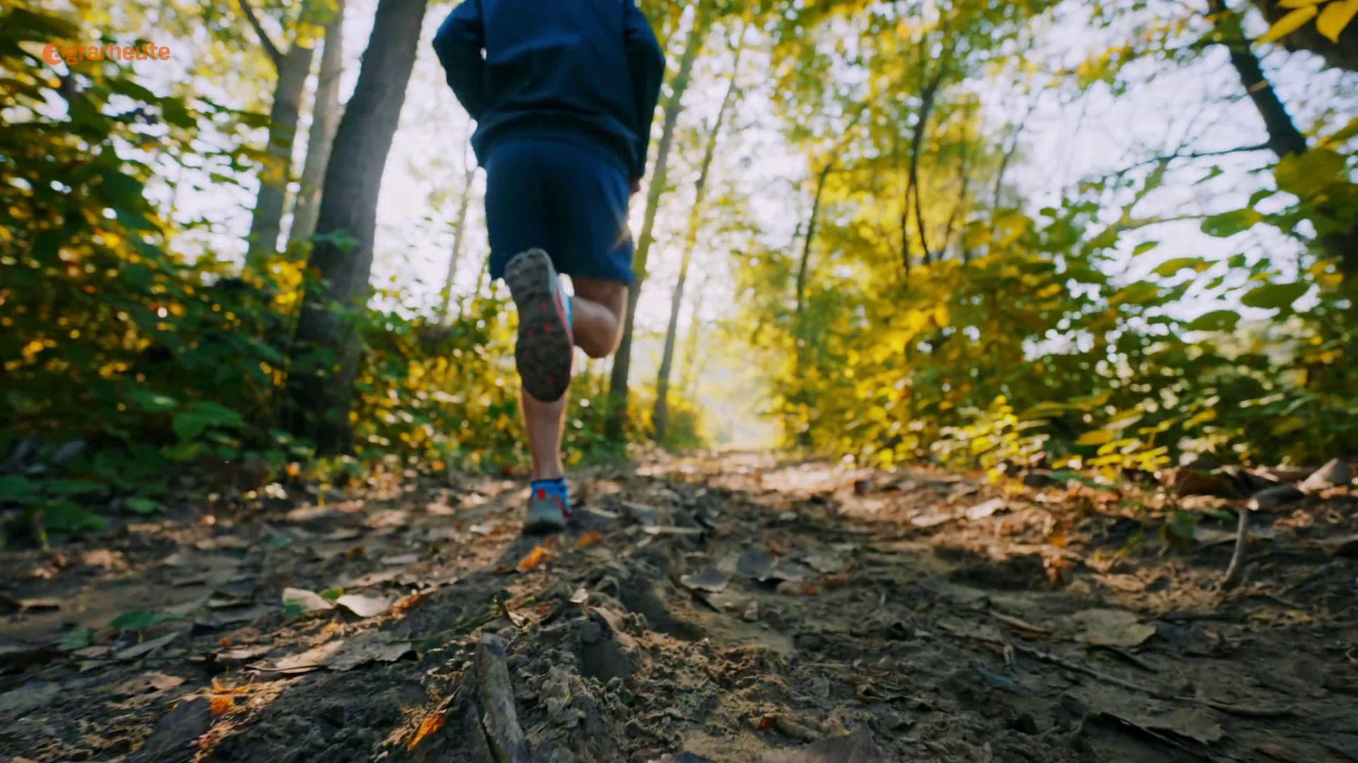 Eating Pork Reduces Muscle Soreness: Here's Why