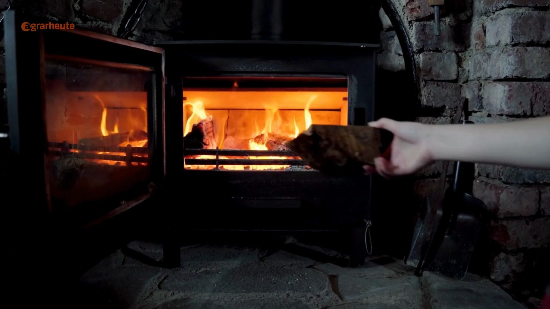 Brennholz-Fails: These 5 tree species are not really suitable for the stove