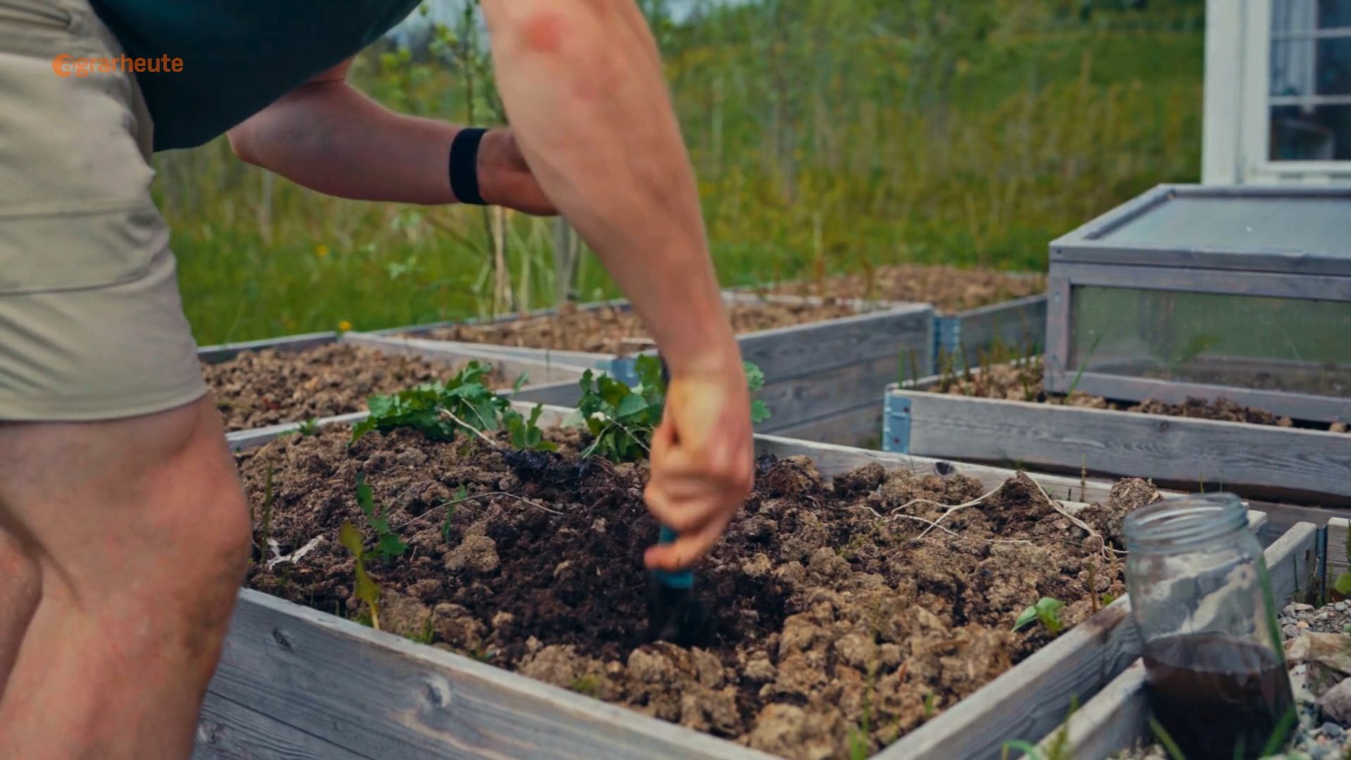 Gärtner: These alternatives to peat you should know!