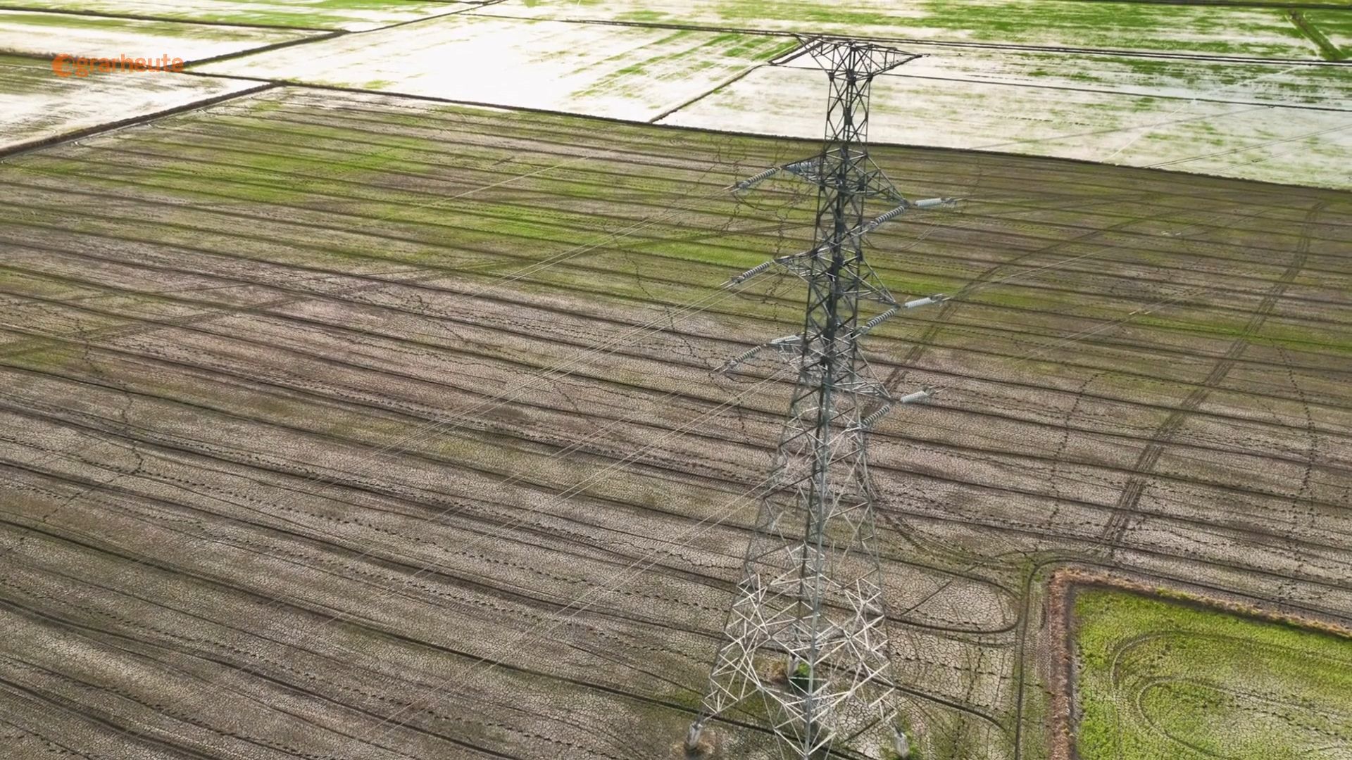 Agricultor luta contra linha de energia - através de campos e florestas: Tribunal age rapidamente