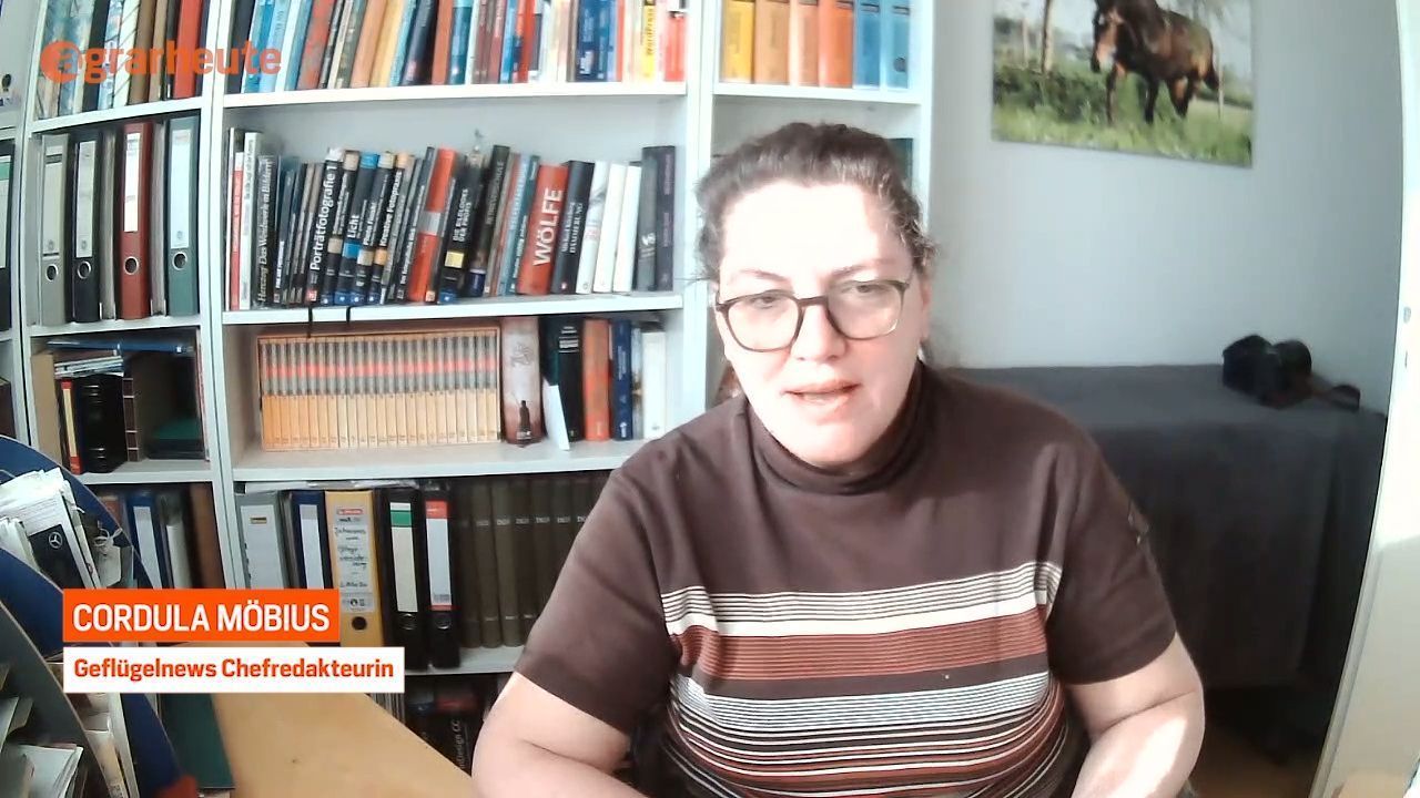 Video: Newcastle-Krankheit zurück in Deutschland - Geflügelexpertin erklärt Ursache und Risiken