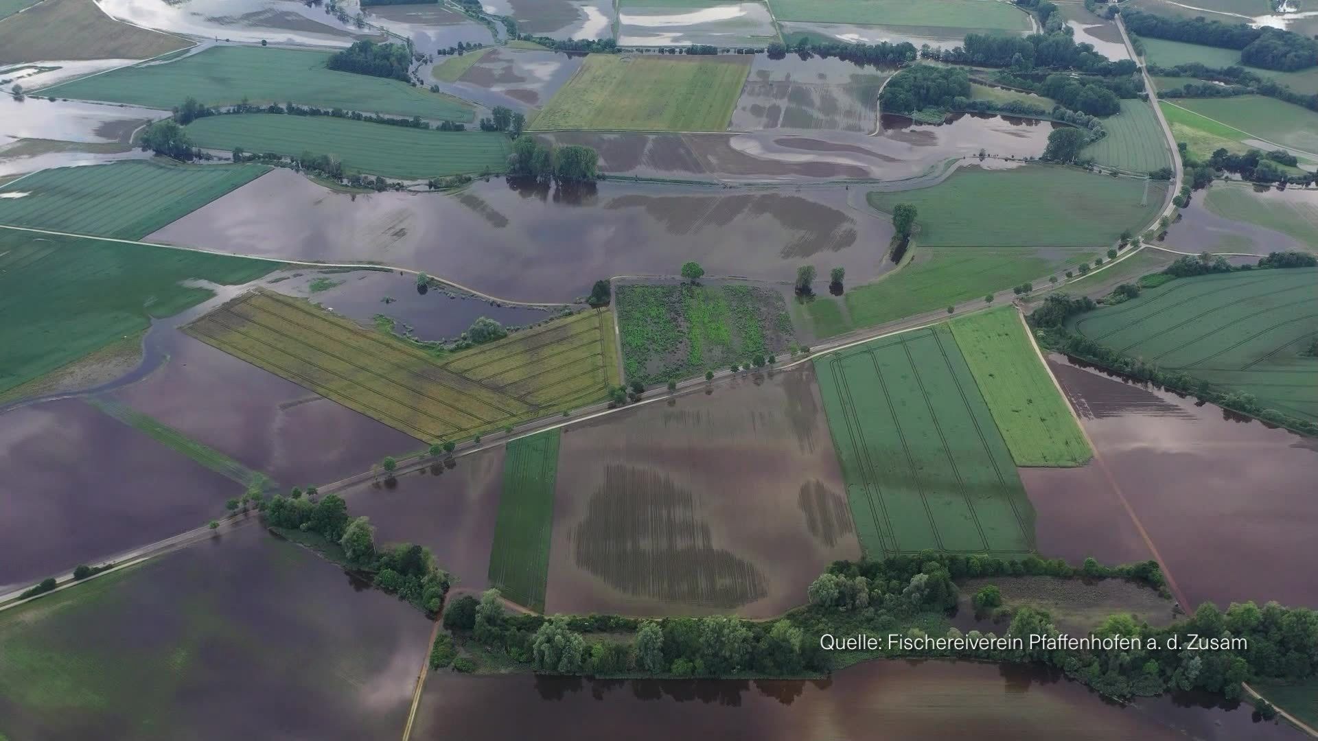Fischsterben nach Hochwasser - Fischereivereine in Nordschwaben in Sorge