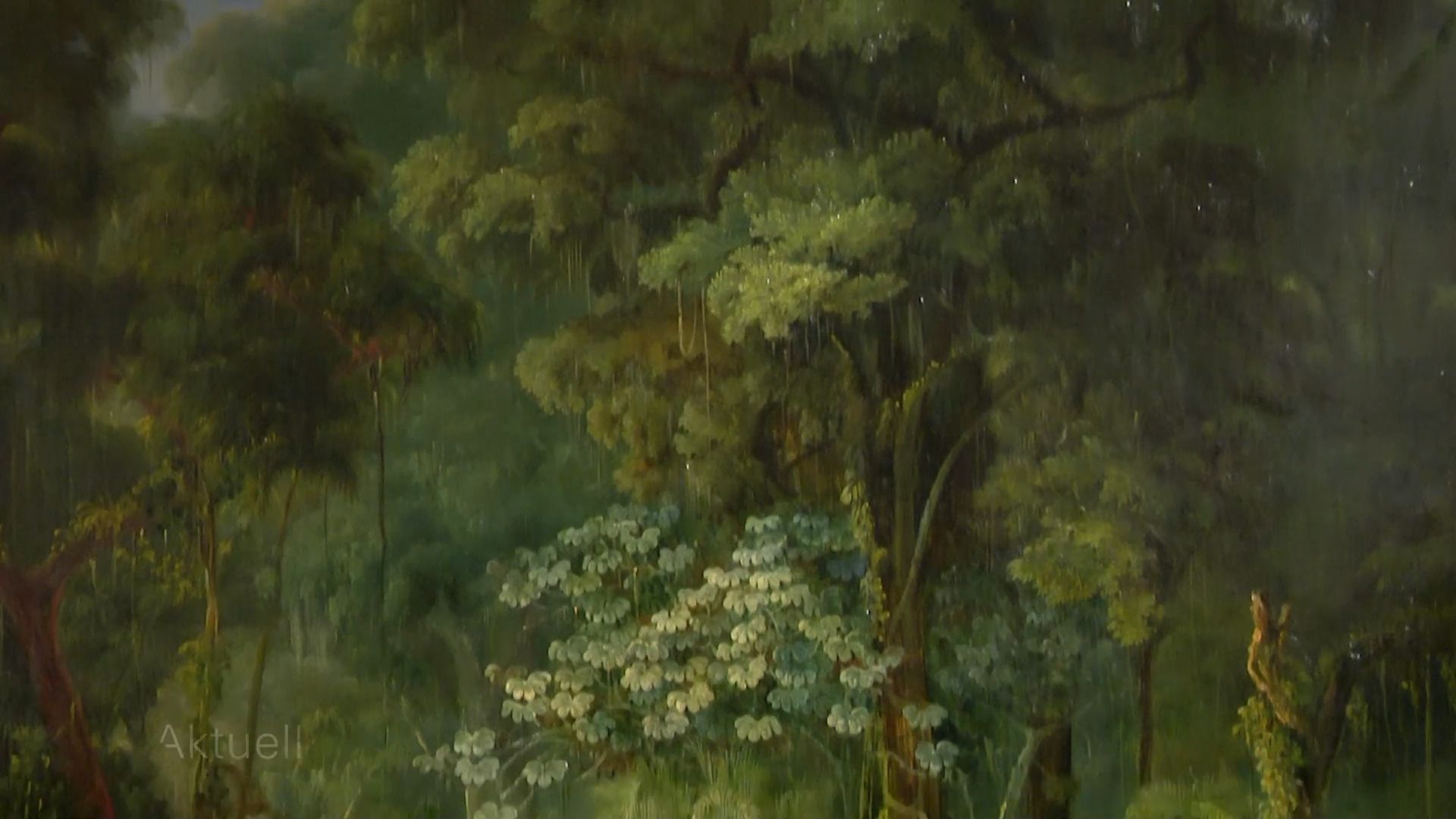 Ausstellung "Abenteuer Brasilien" eröffnet