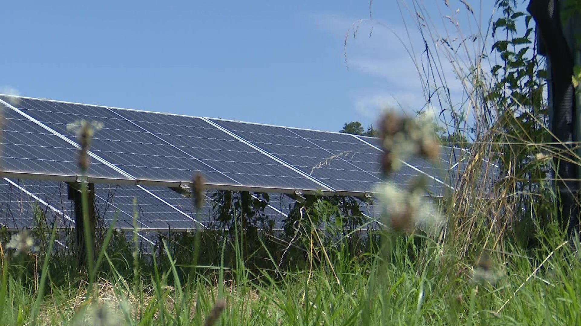 Video: Solarpark in Herbertshofen: Ein Schritt Richtung Nachhaltigkeit