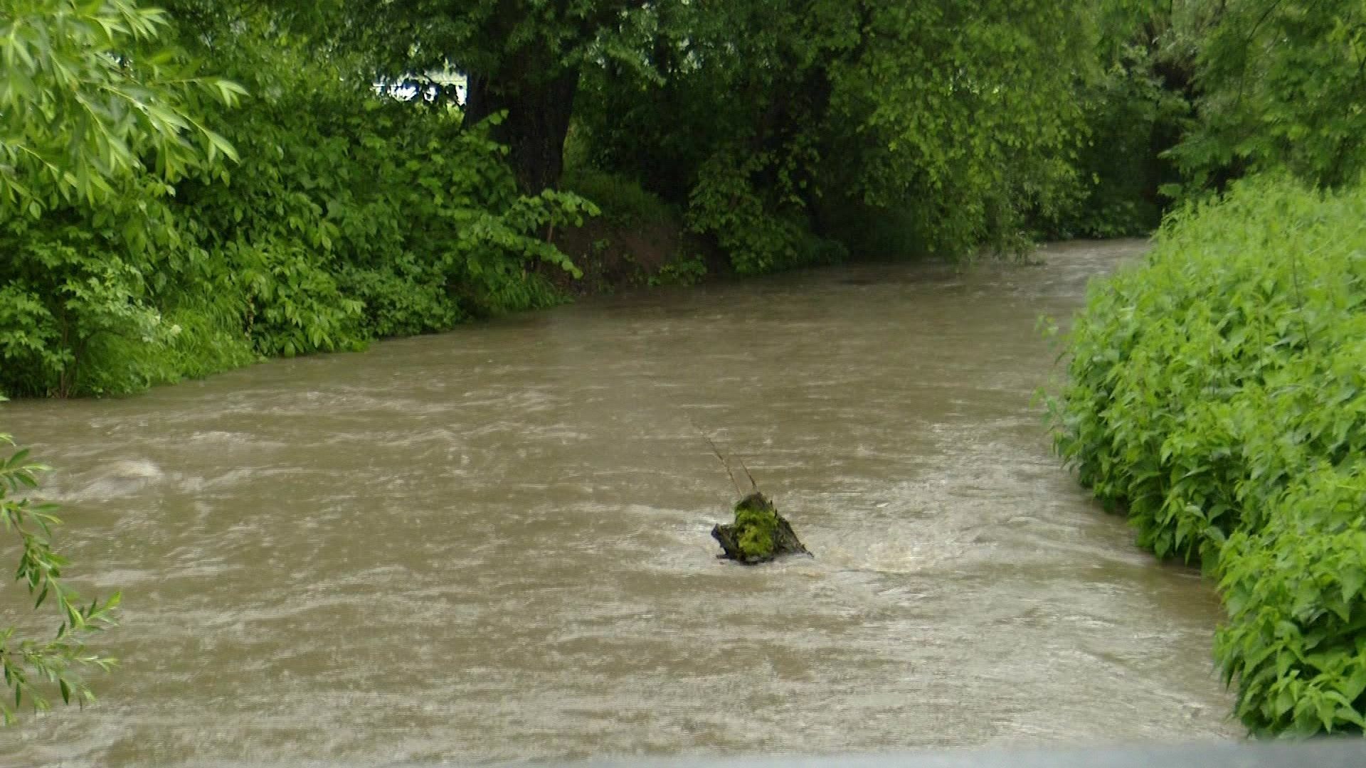 Video: Starkregen statt Sonne - wie der Klimawandel den Sommer verändert