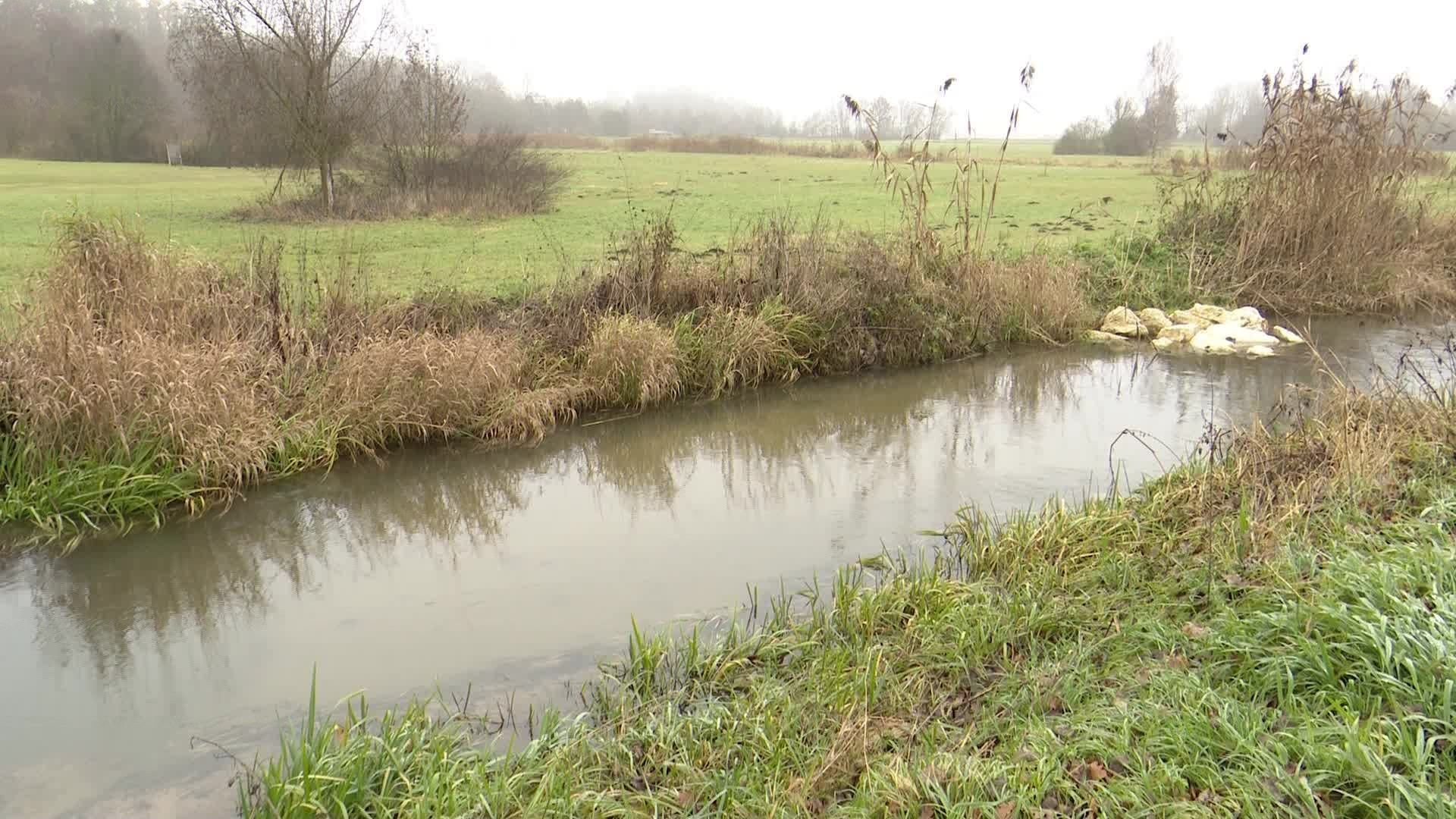 Chemicals in the Friedberger Ach - Politics seeks solutions