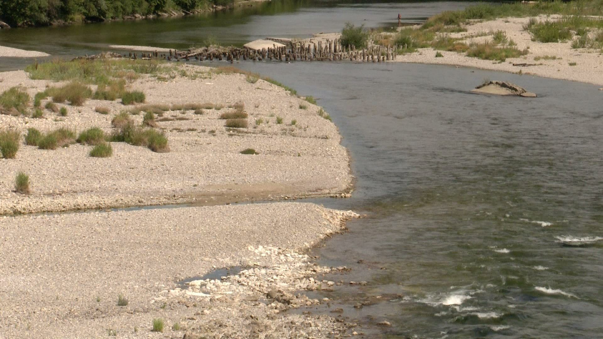 Video: Trockene Flüsse bedrohen die Fischpopulation