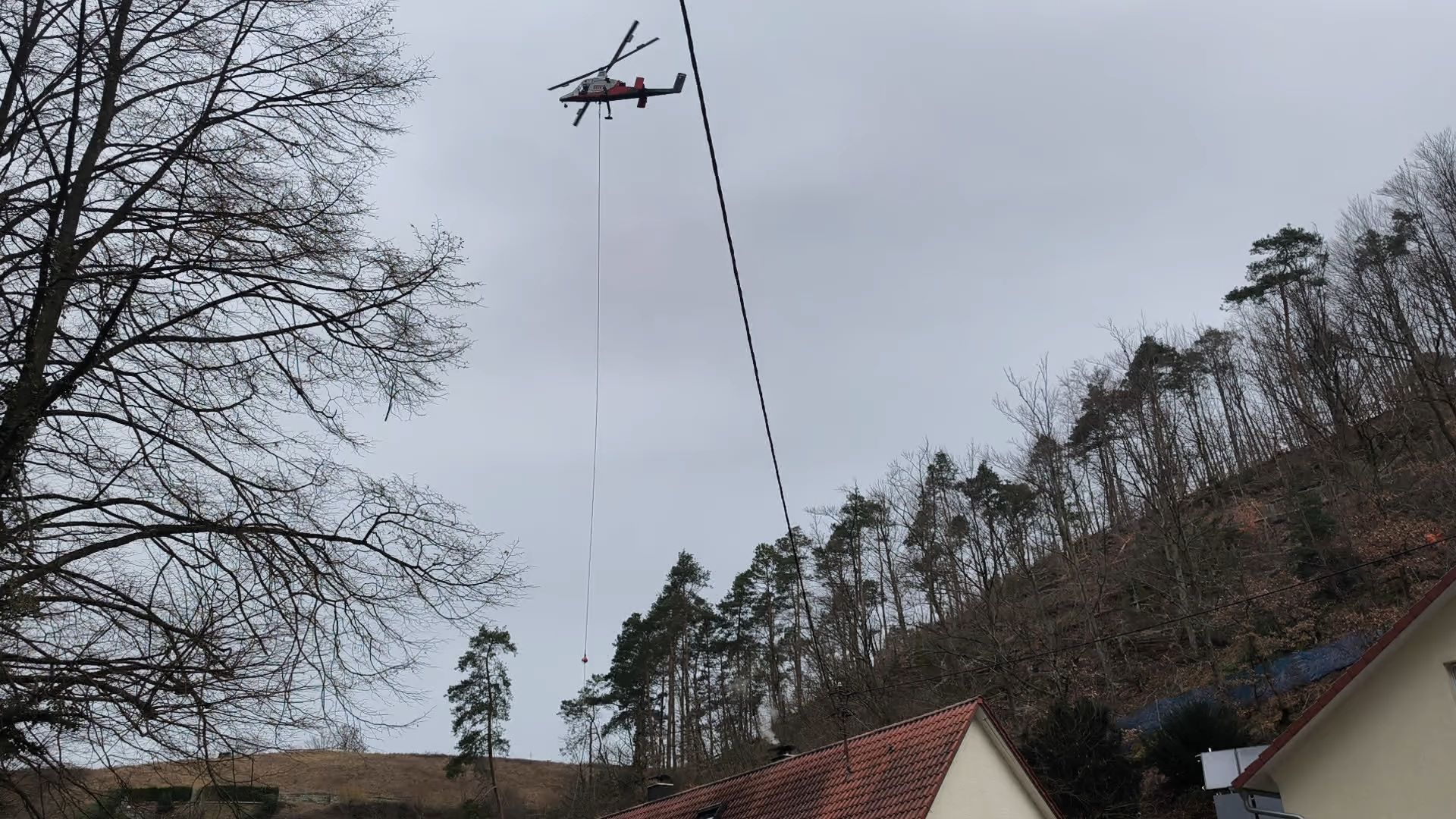 Video: Abgestorbenen Bäume bedrohte Wohnhäuser am Hangfuß